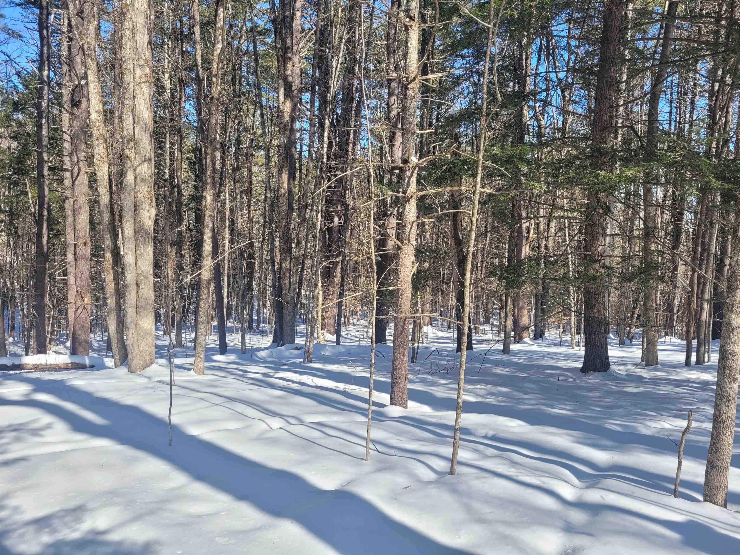 0 Hunt Rd, Westmoreland, NH 03467