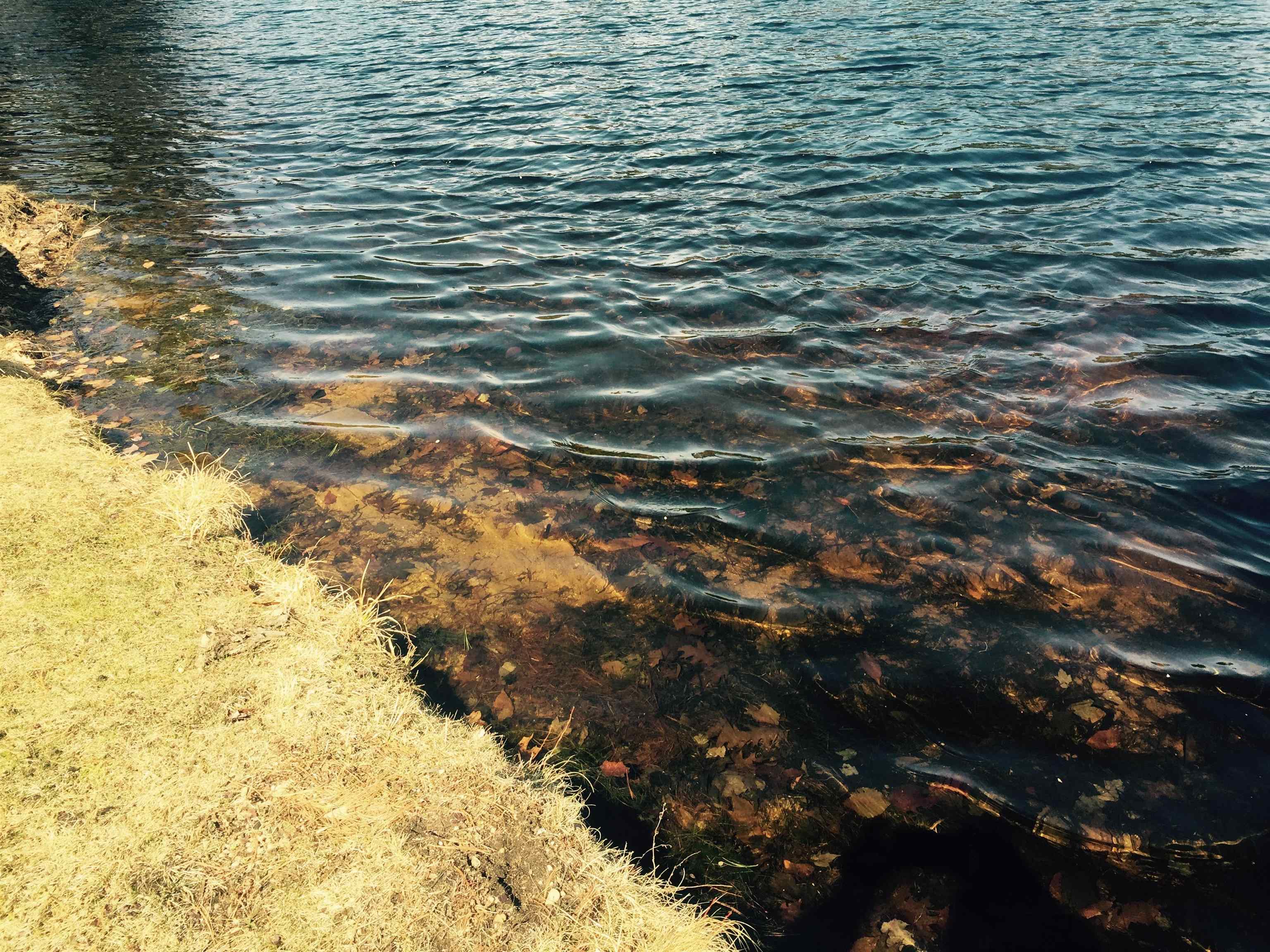 39 Pine Rd, Fitzwilliam, NH 03447