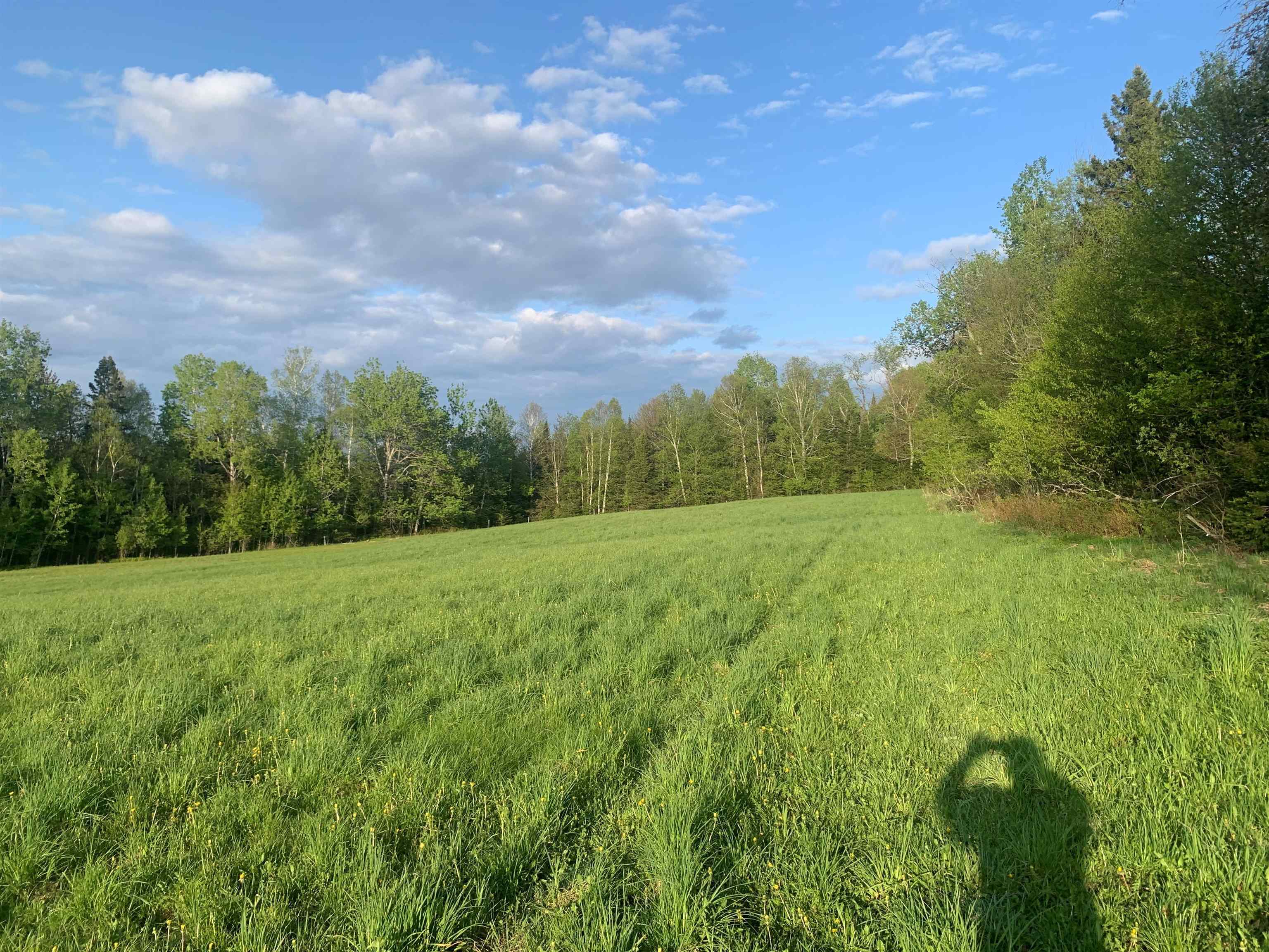 Lot 3 Titus Hill Rd, Colebrook, NH 03576