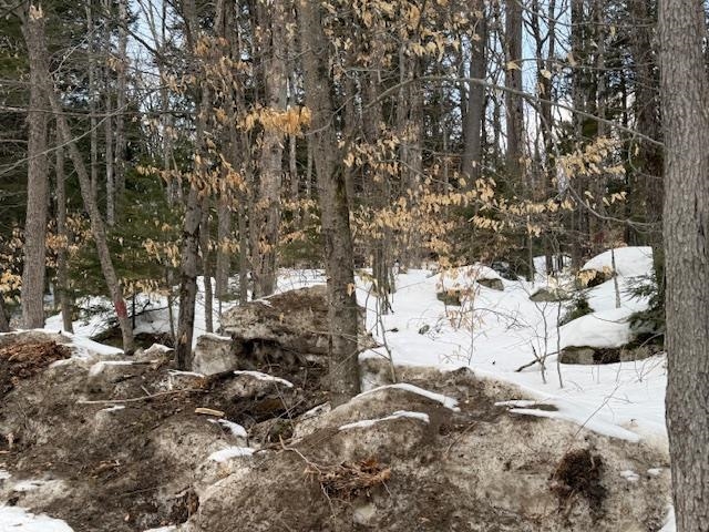 Map 6 Lot 103 Route 16 Route, Albany, NH 03818