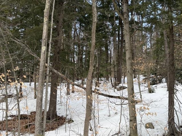 Map 6 Lot 103 Route 16 Route, Albany, NH 03818