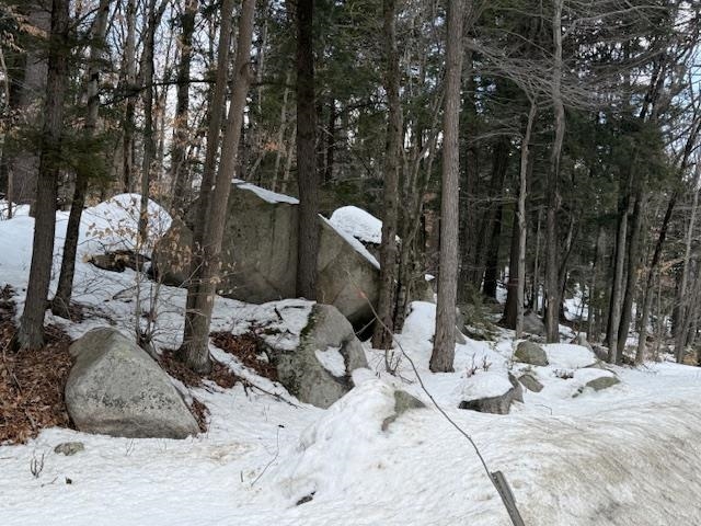 Map 6 Lot 103 Route 16 Route, Albany, NH 03818