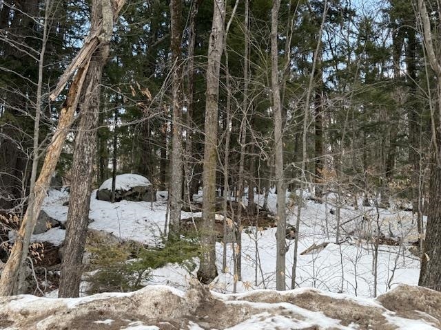 Map 6 Lot 103 Route 16 Route, Albany, NH 03818