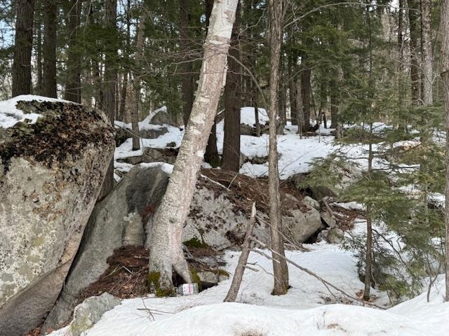 Map 6 Lot 103 Route 16 Route, Albany, NH 03818