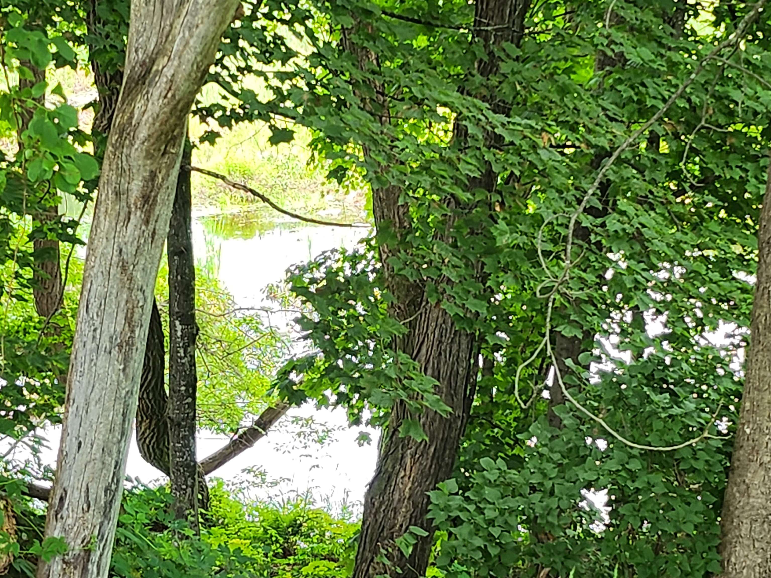 126 Meredith Center Road — photo 3