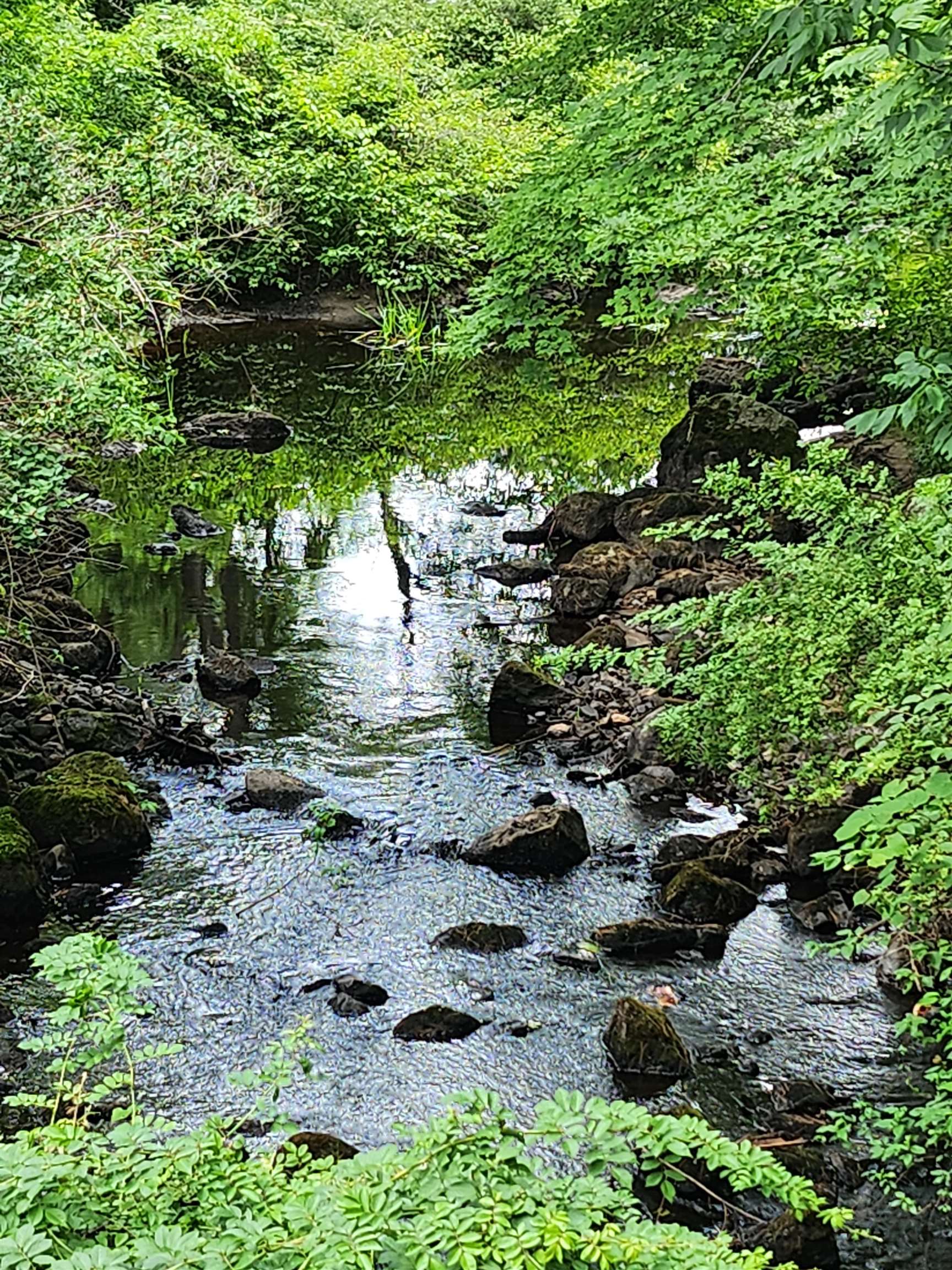 126 Meredith Center Rd, Meredith, NH 03253