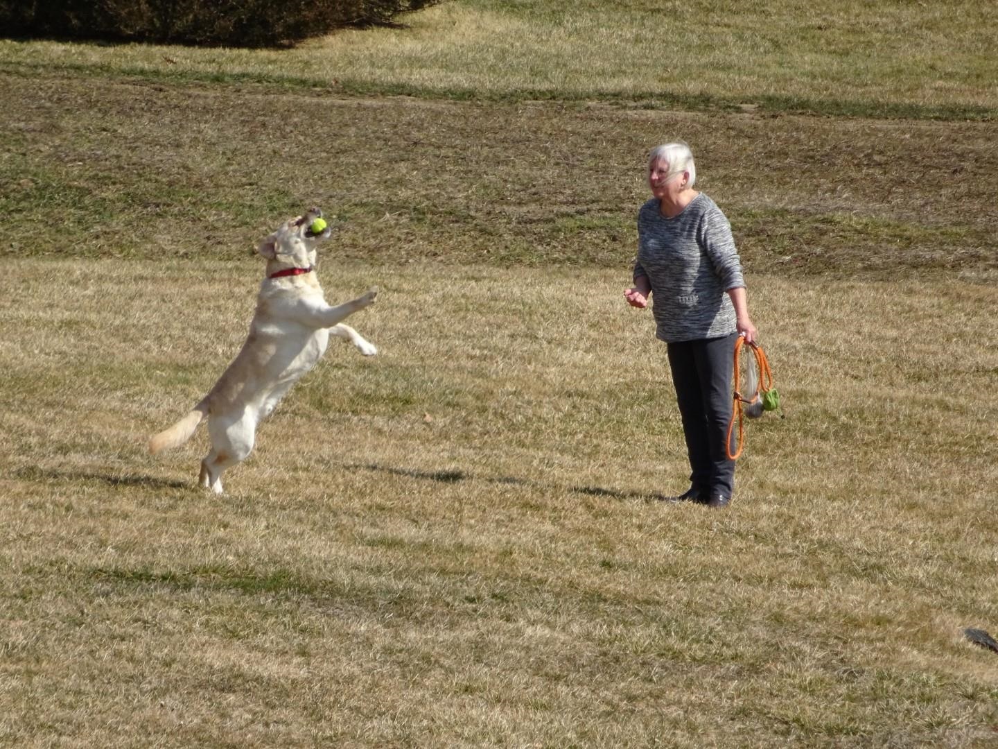 228 Cushing Rd #A, Newmarket, NH 03857