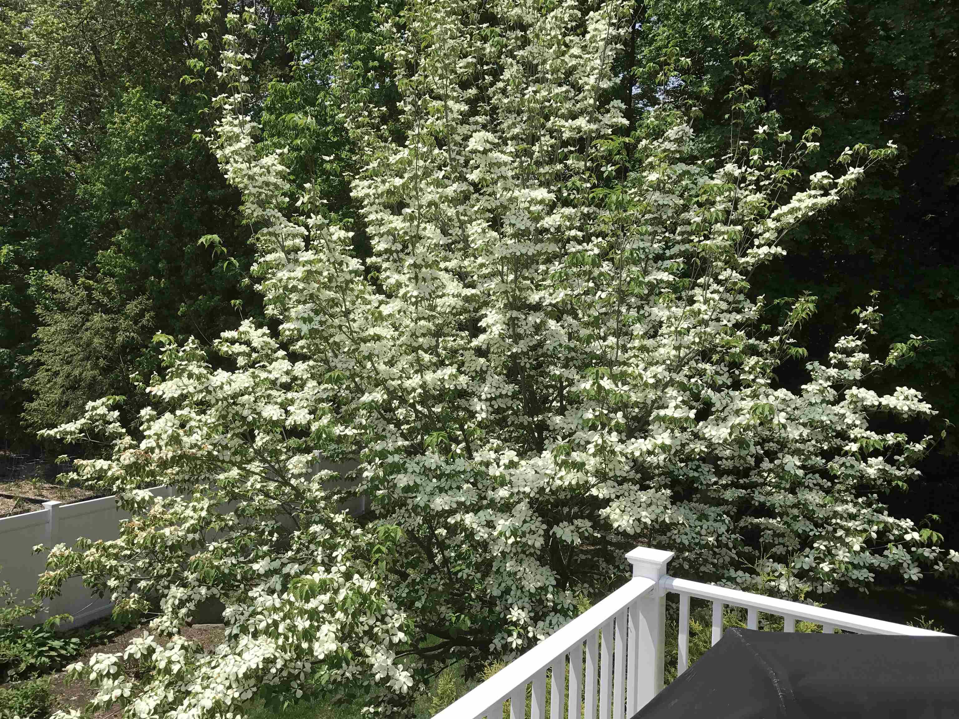 14 Loren Rd, Salem, NH 03079