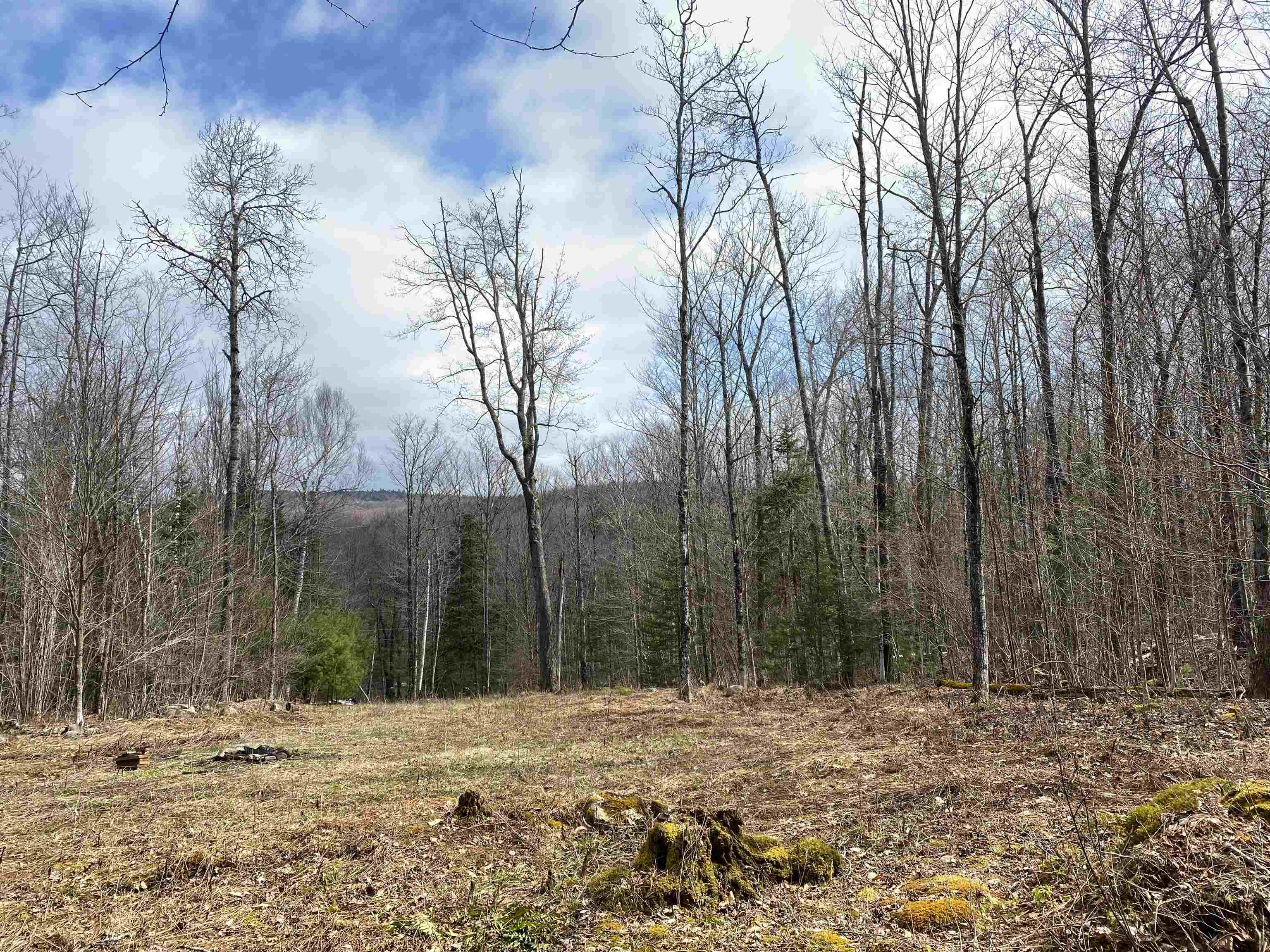 00 Miller Pond Rd, Grantham, NH 03753