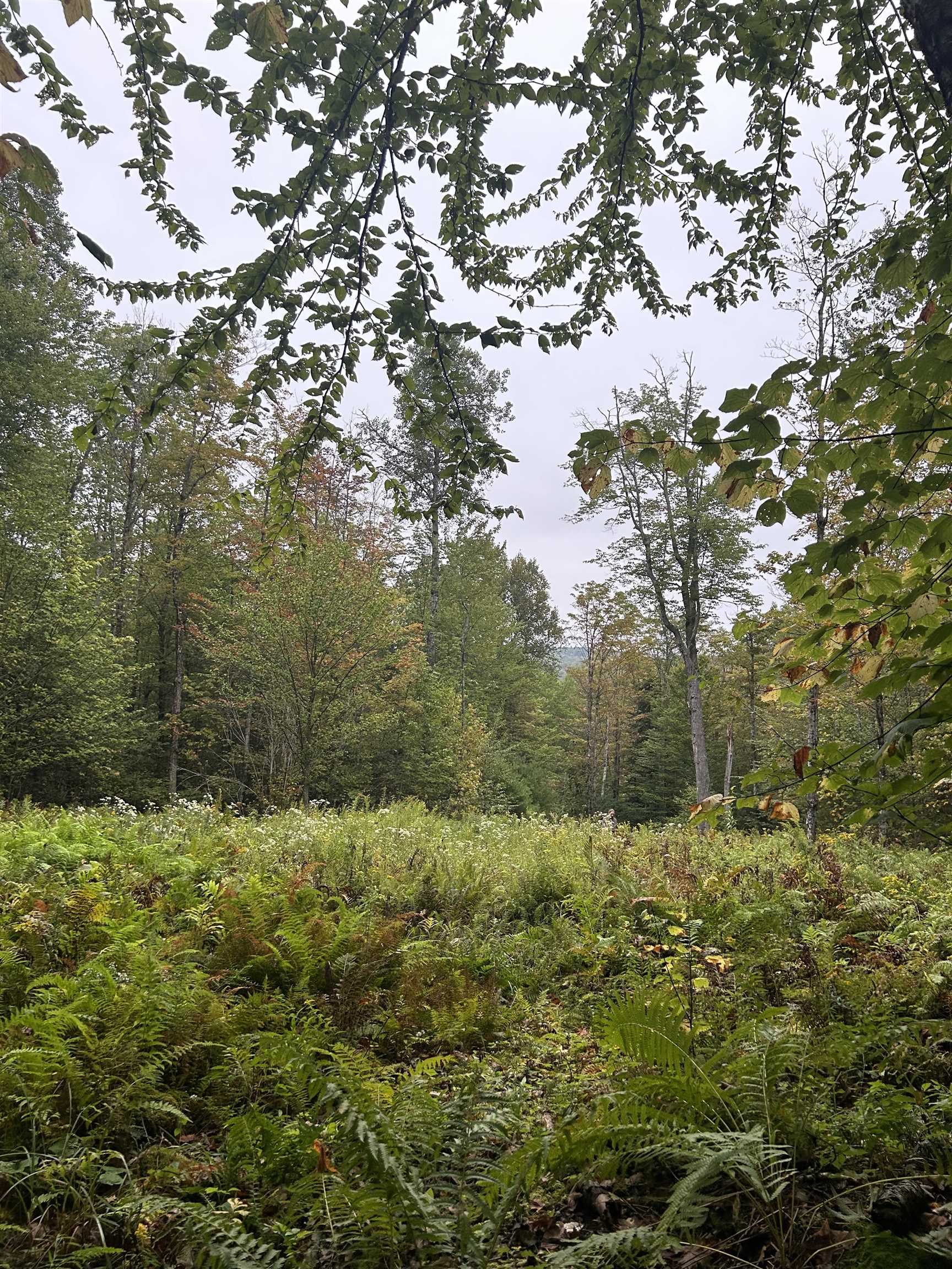 00 Miller Pond Rd, Grantham, NH 03753