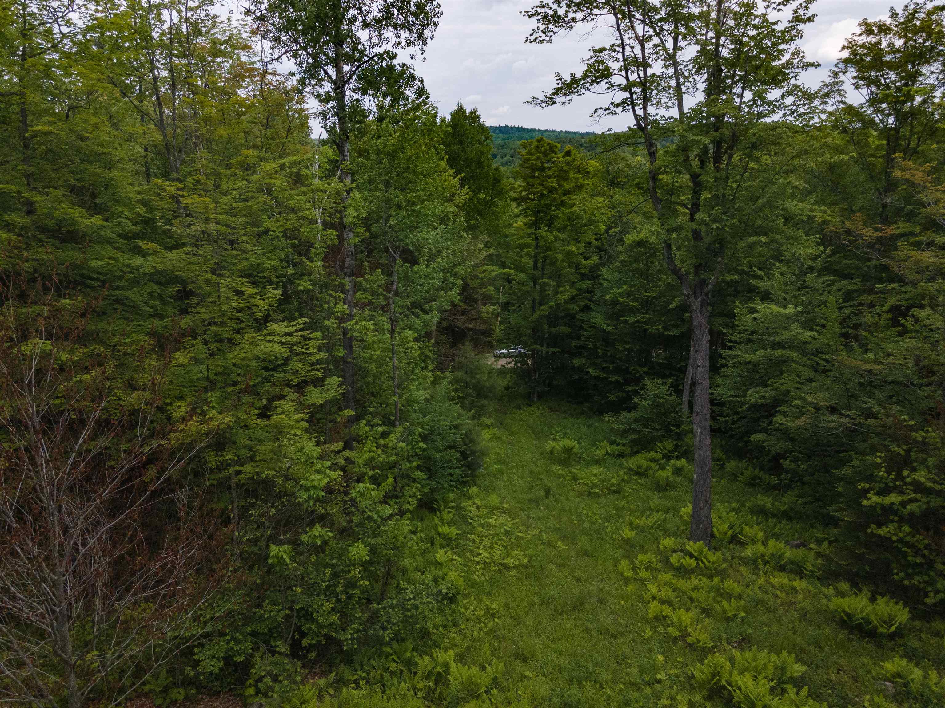 00 Miller Pond Rd, Grantham, NH 03753