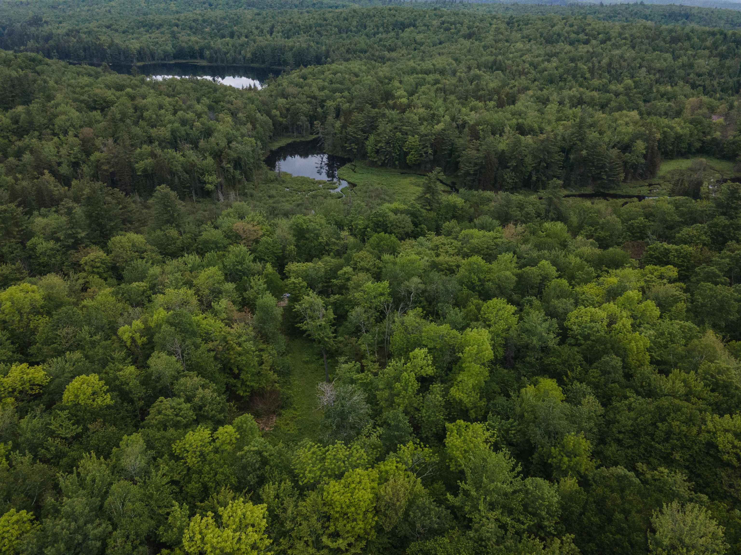 00 Miller Pond Rd, Grantham, NH 03753