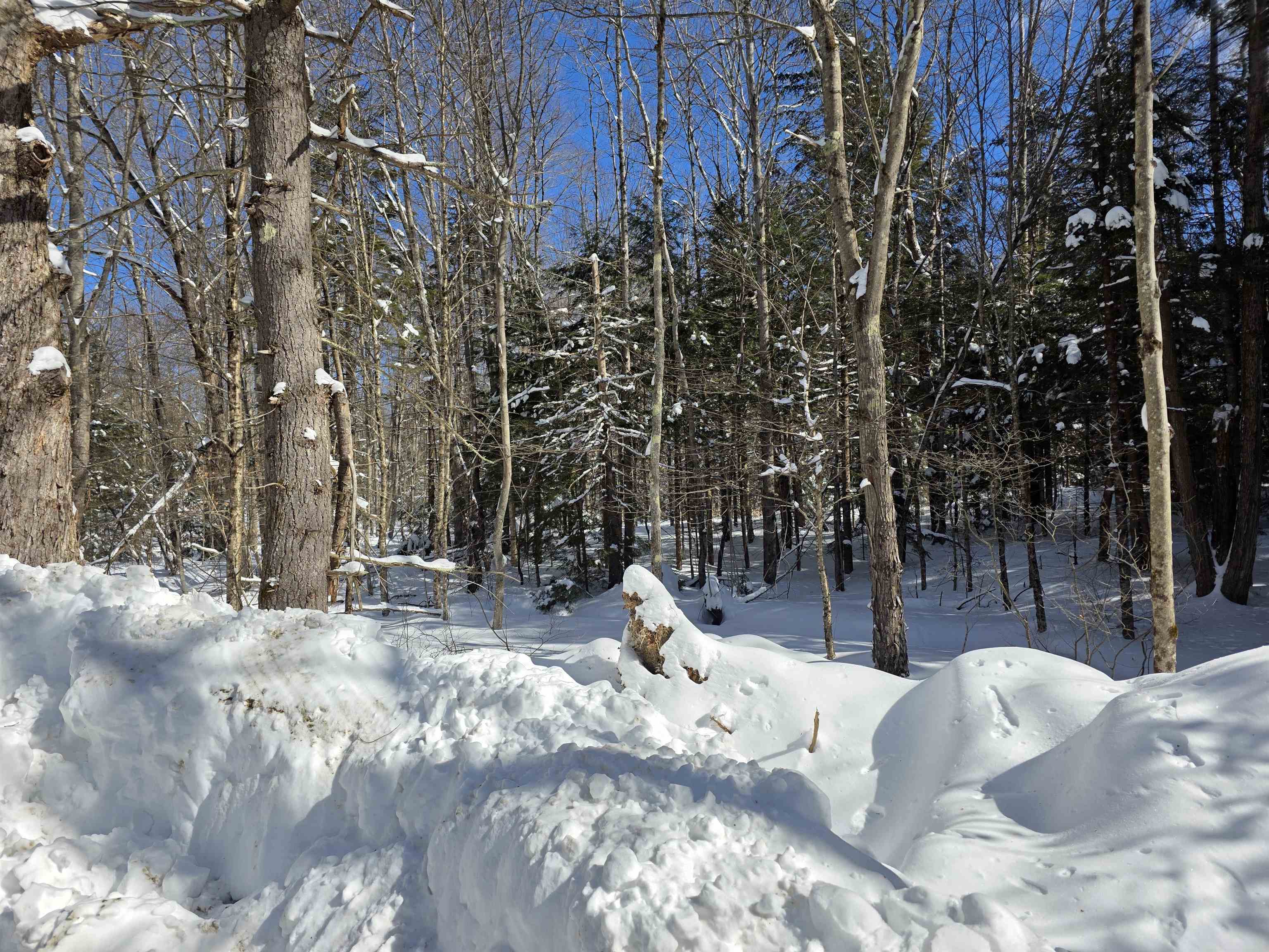 0 Mansfield Rd, Marlow, NH 03456