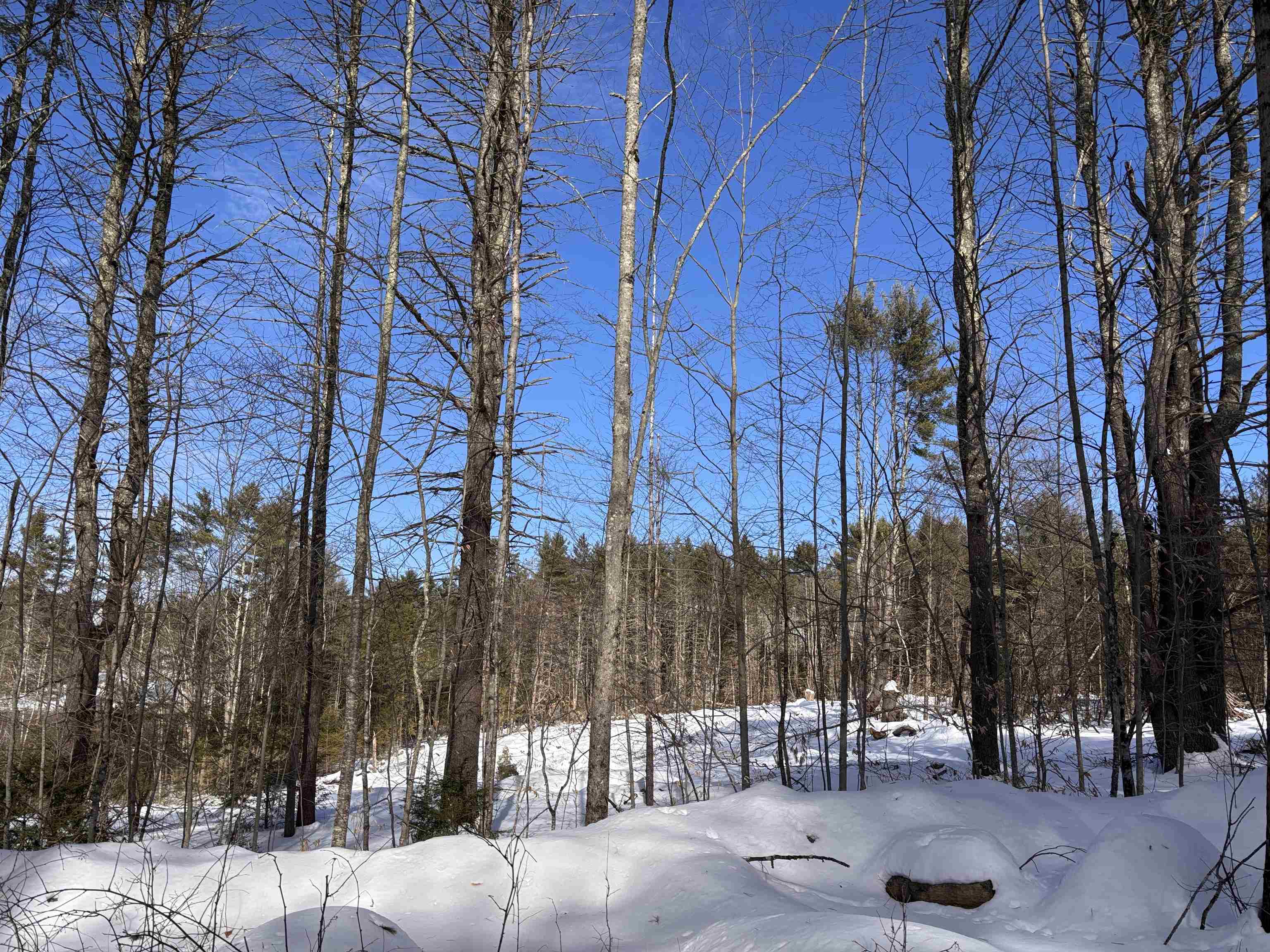 M409 L66 Old Turnpike Rd, Richmond, NH 03470