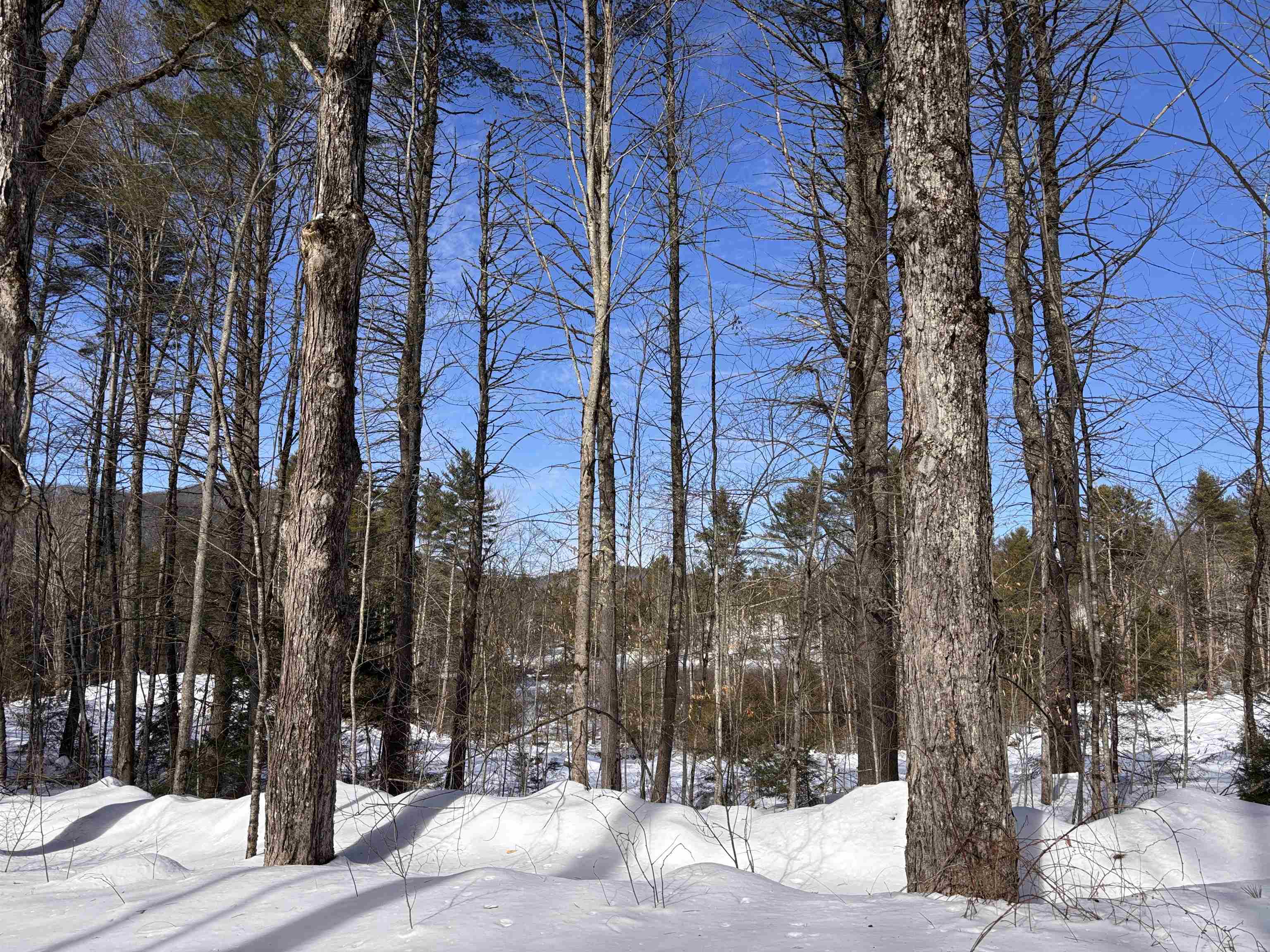 M409 L66 Old Turnpike Rd, Richmond, NH 03470
