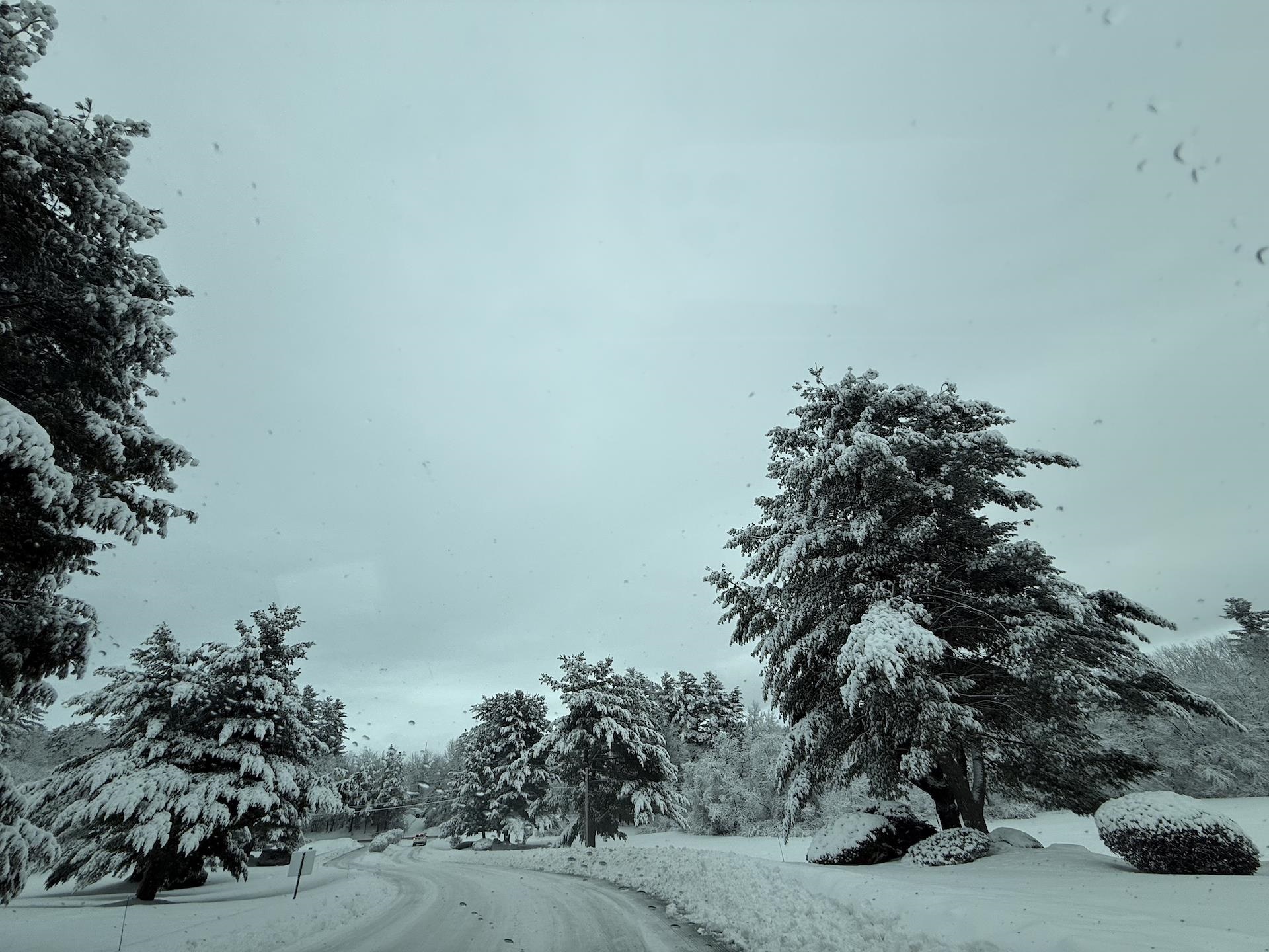 17 Walnut Cir, Merrimack, NH 03054