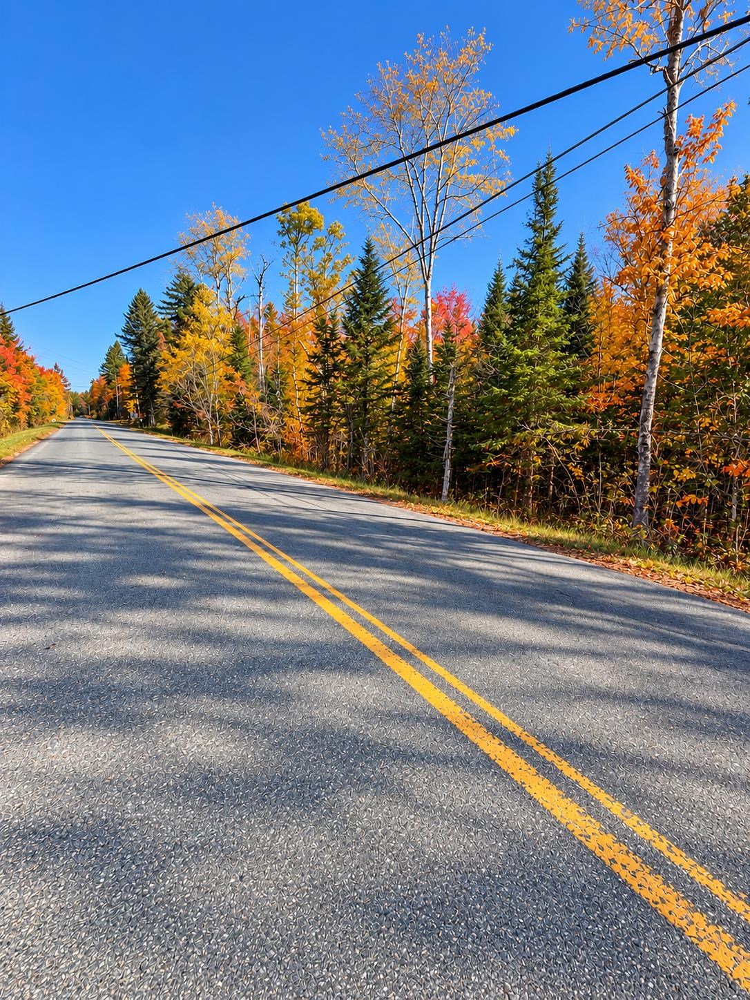 Photo 3 of Land for sale at 00 Mountain Rd, East Burke, VT 05832 | MLS# 5078115 | Listing updated on 2026-10-05