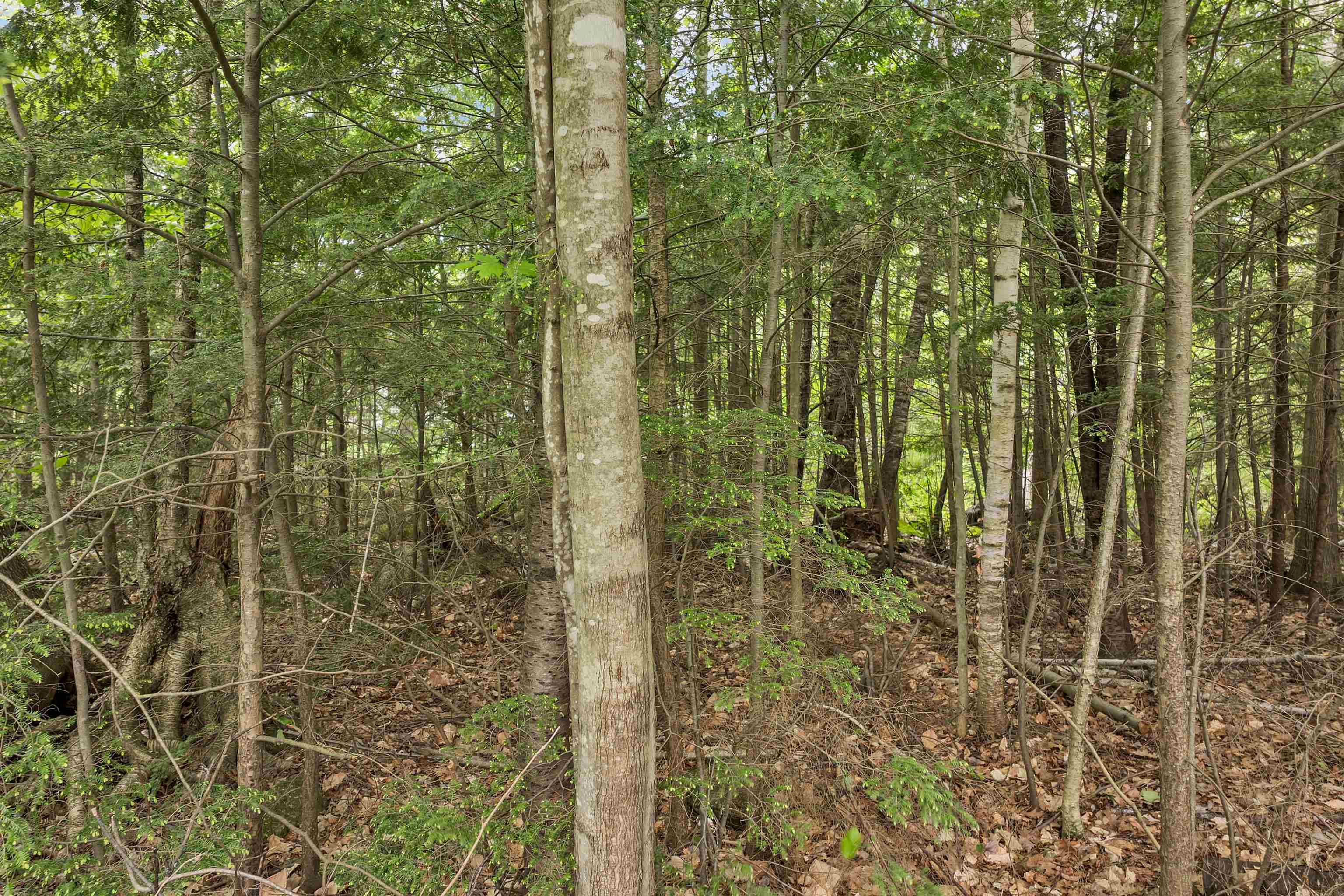 22 Race Point Rd, Laconia, NH 03246