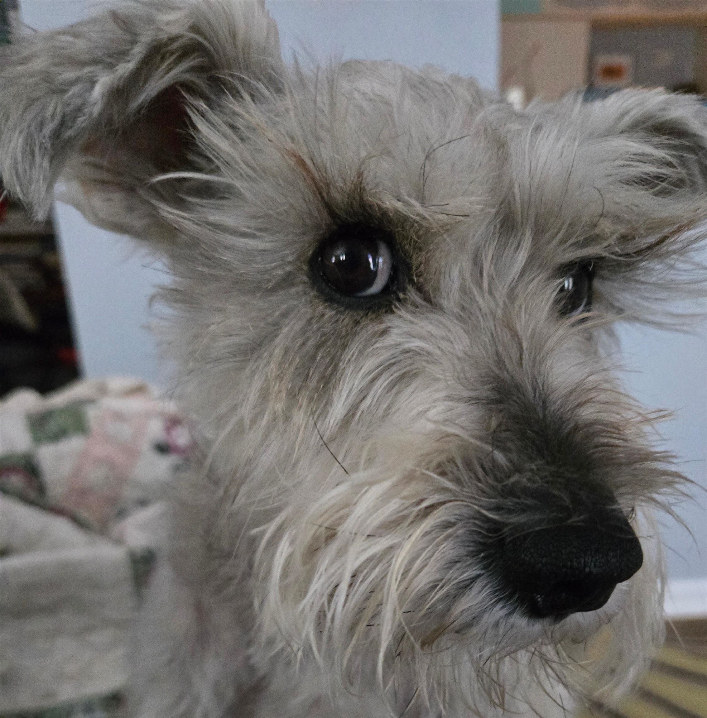 35 Collins Landing Rd, Weare, NH 03281