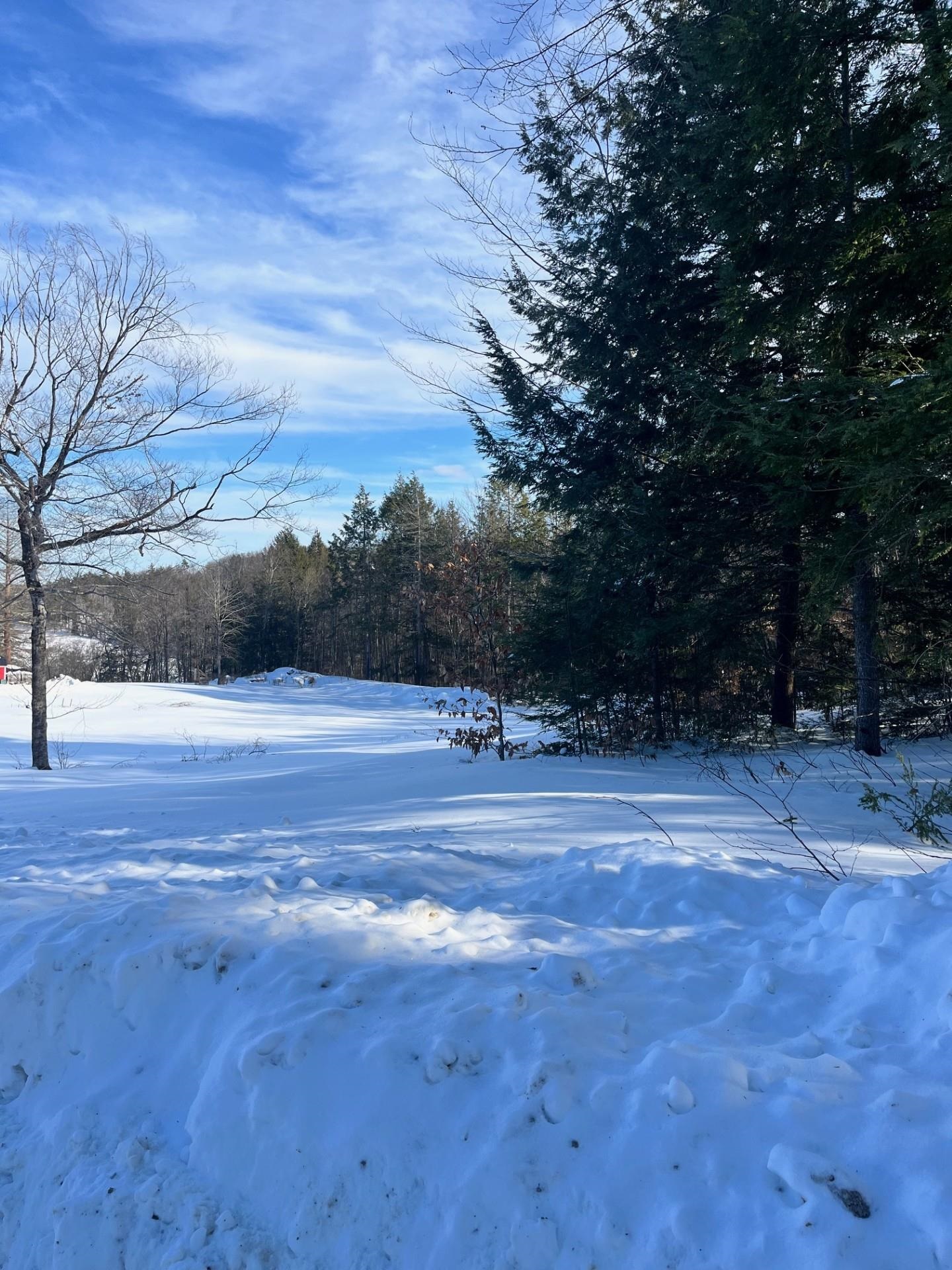 Lot 70.1 N Old Branch Rd, Antrim, NH 03440