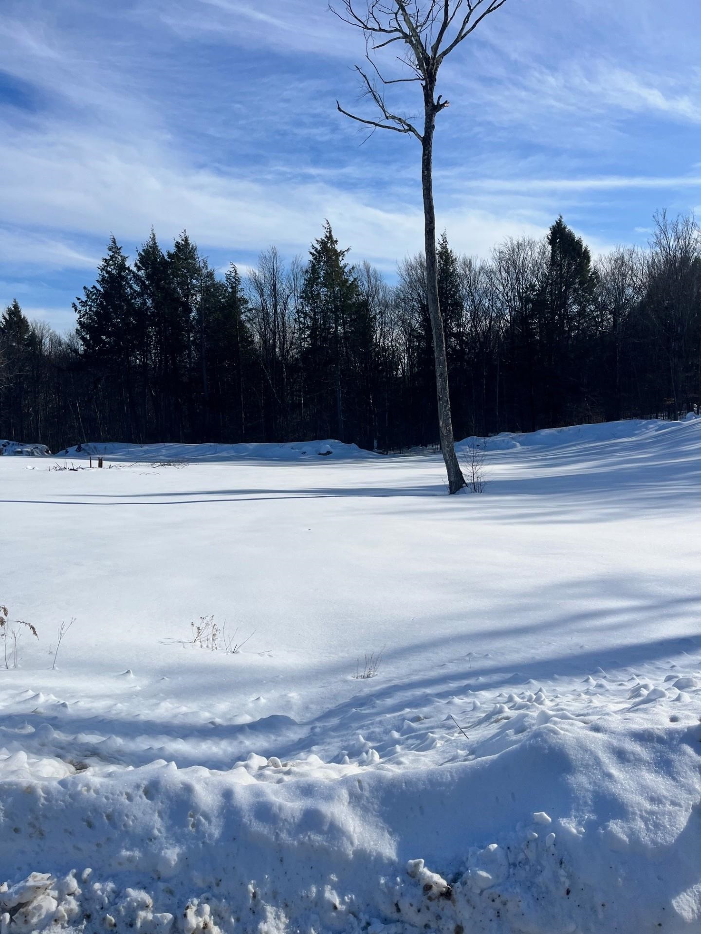 Lot 70.1 N Old Branch Rd, Antrim, NH 03440