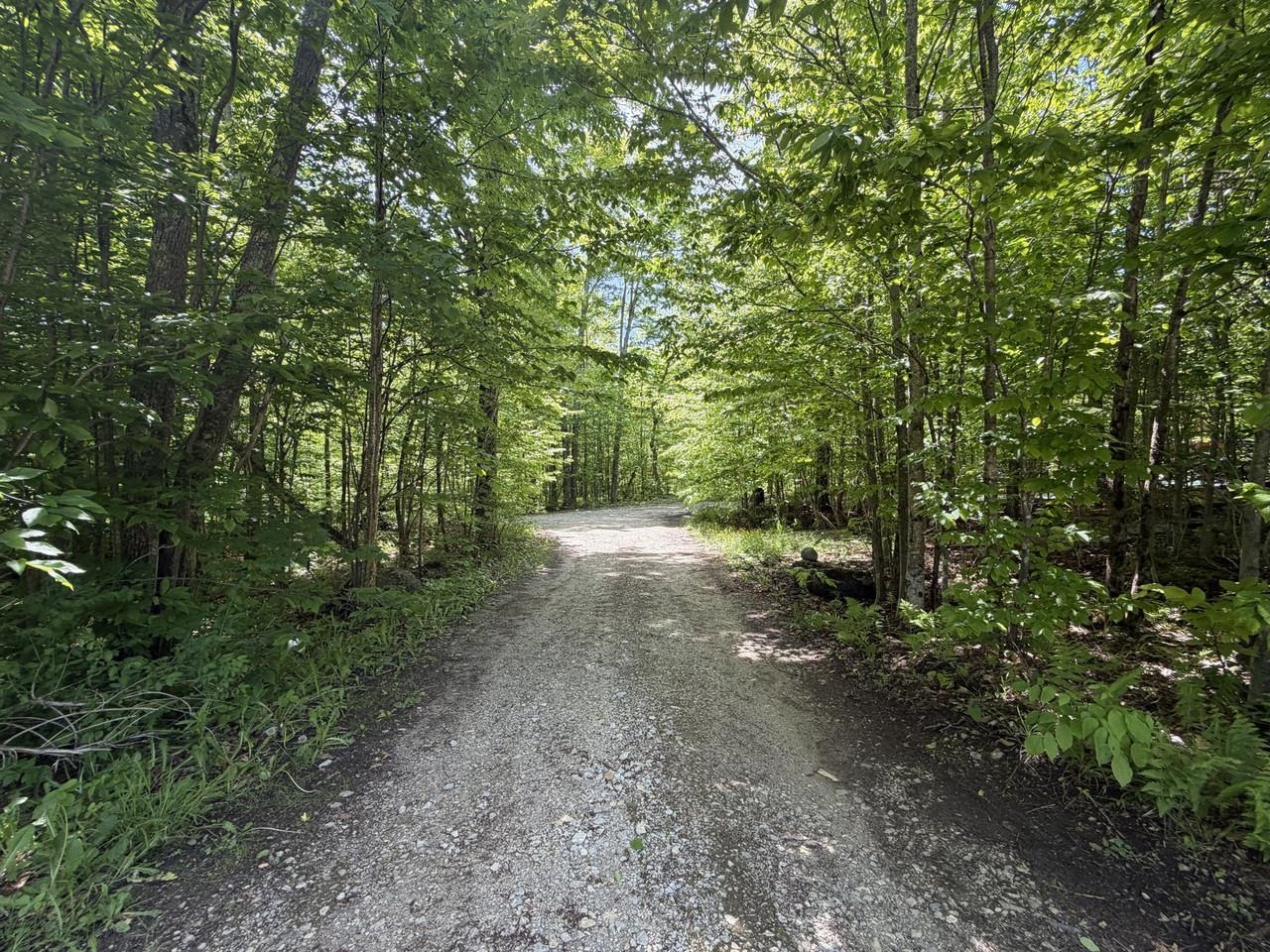 Wooded private driveway