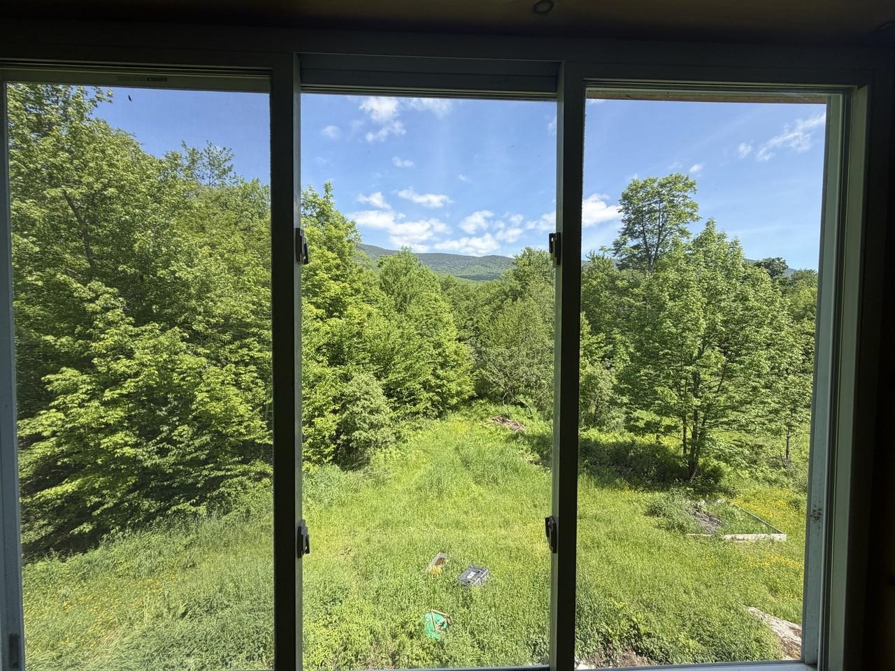 Summer primary view