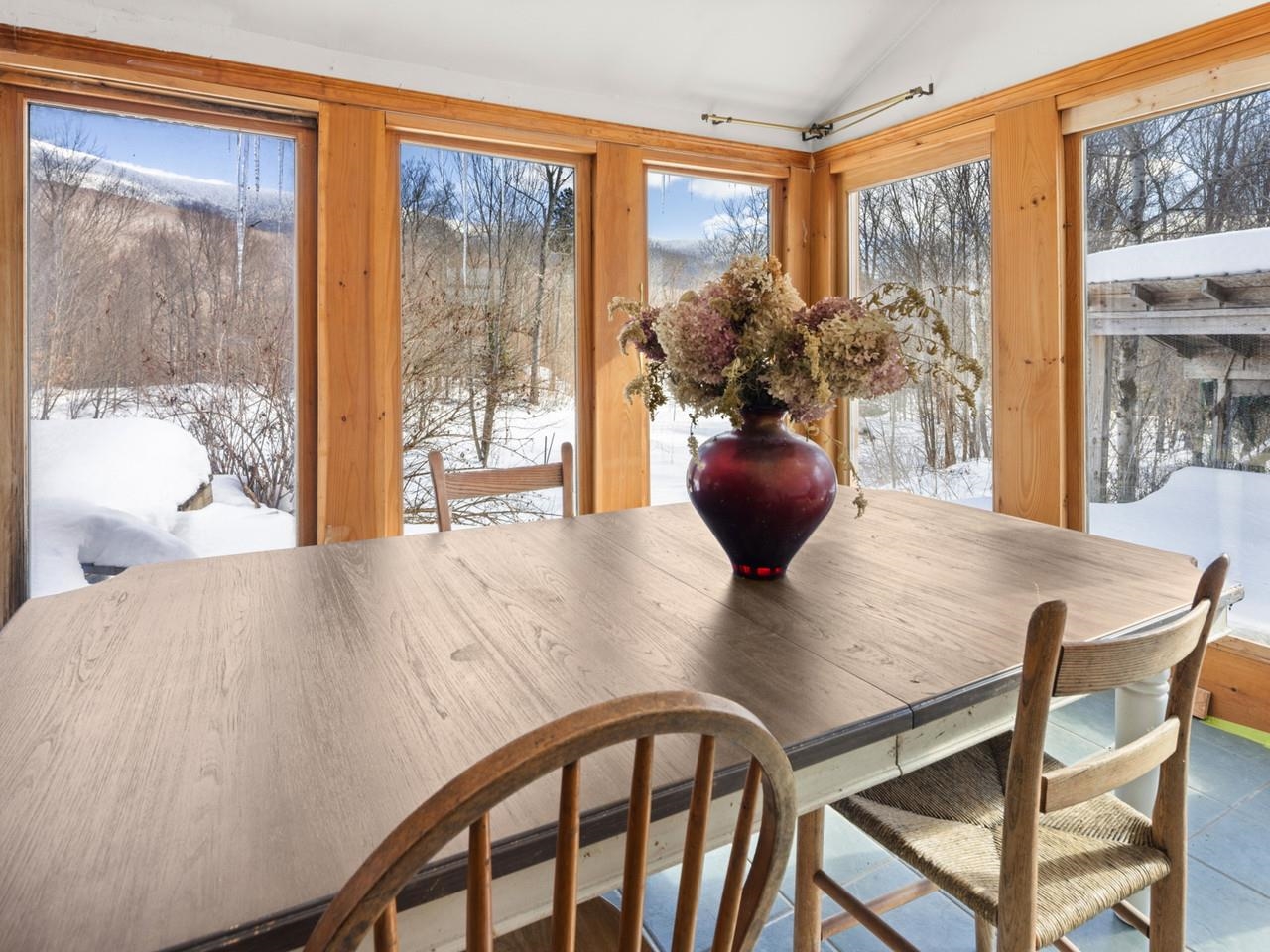 Snowy landscape views