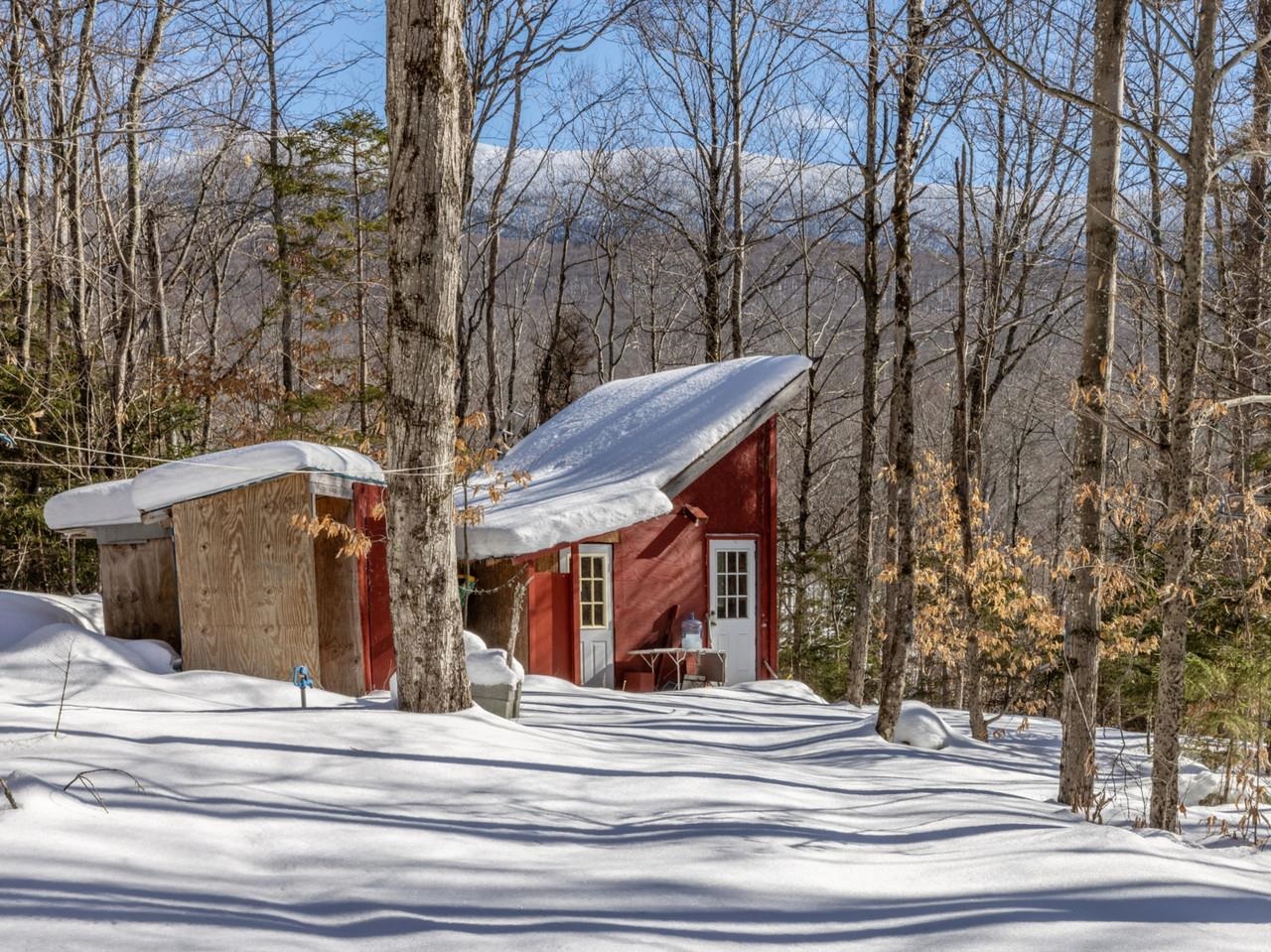 Rustic cabin in woods