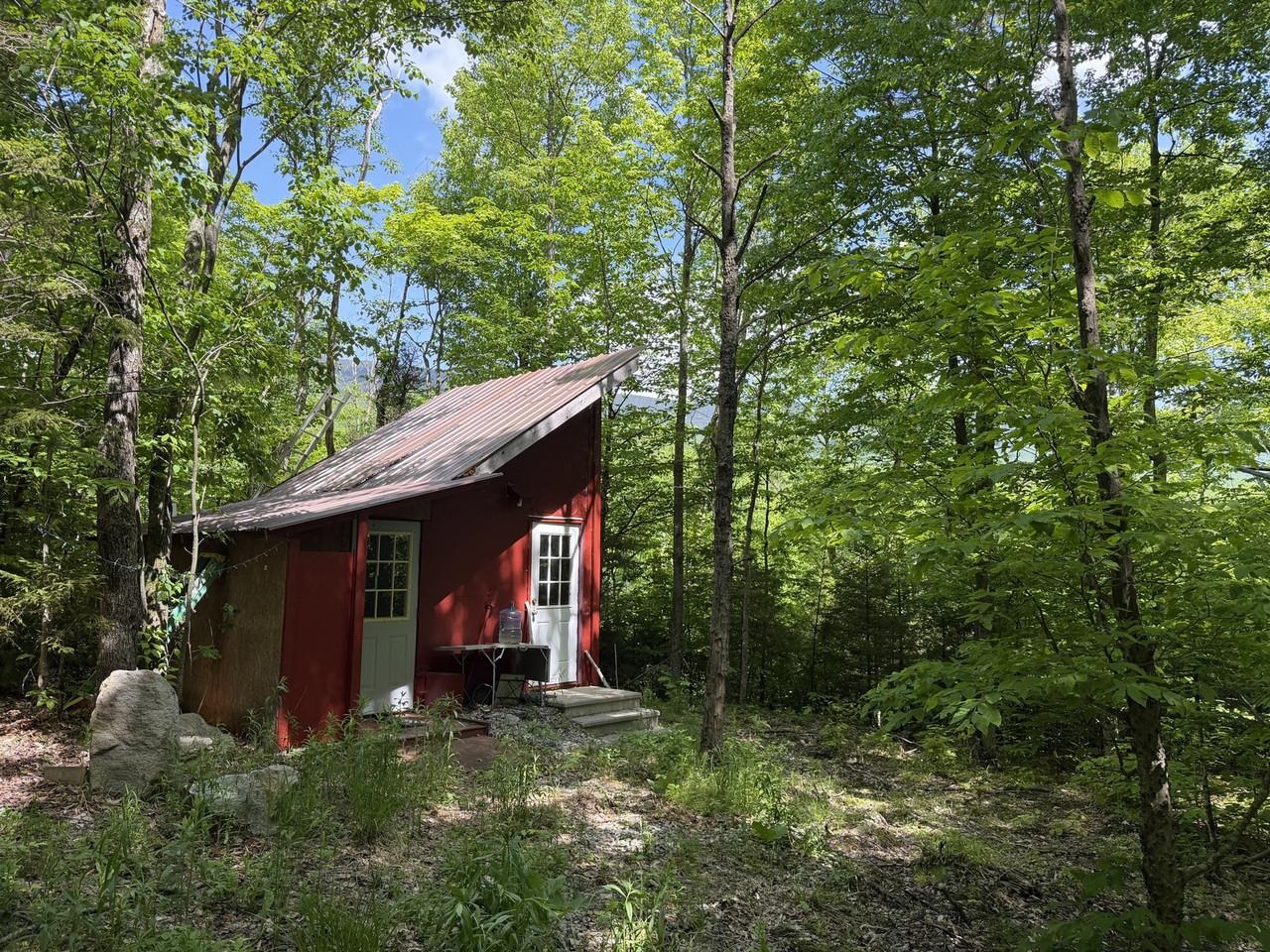 Secluded woodland retreat