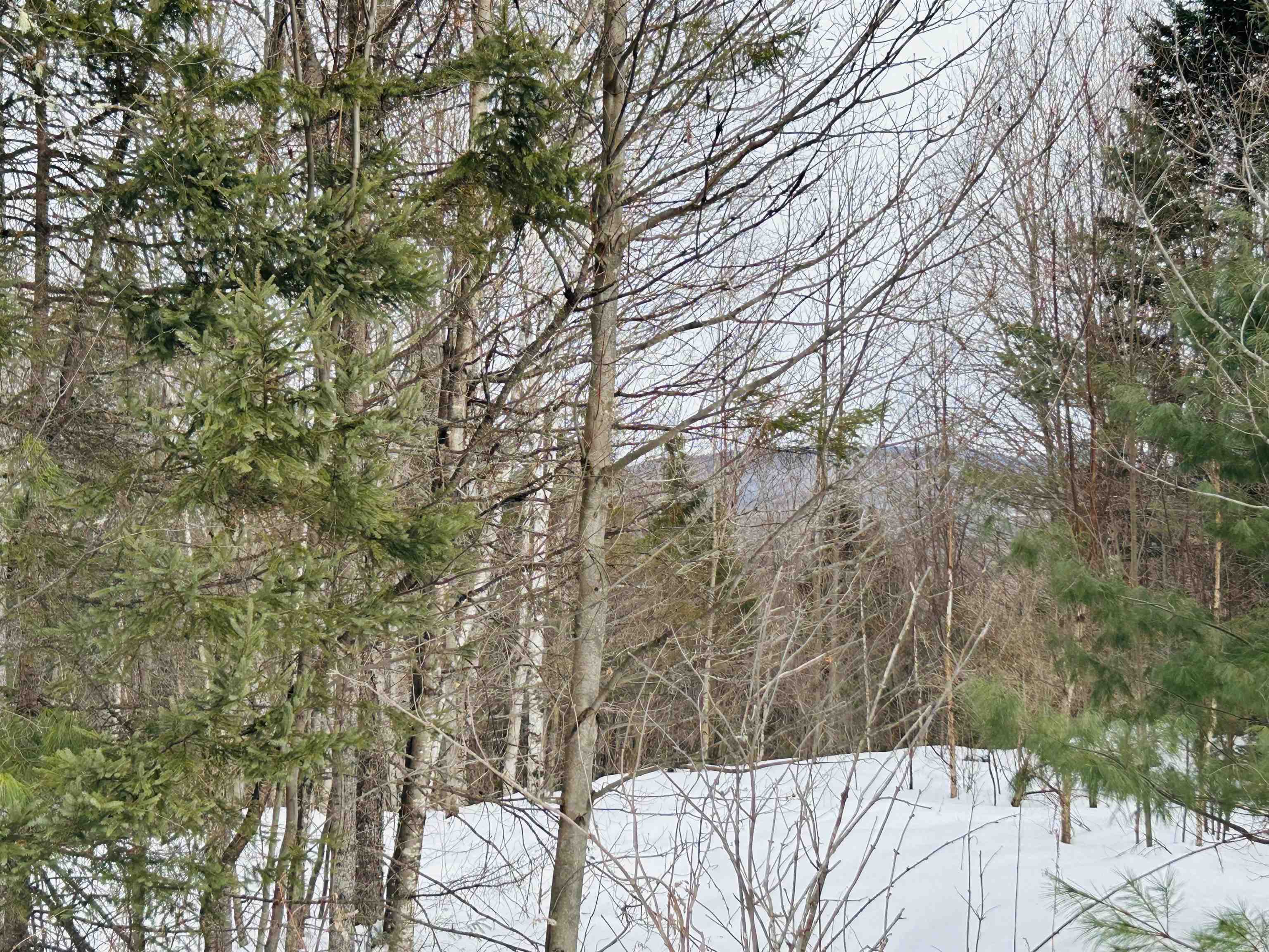 Lot 15 Holbrook Hill Rd, Stratford, NH 03590