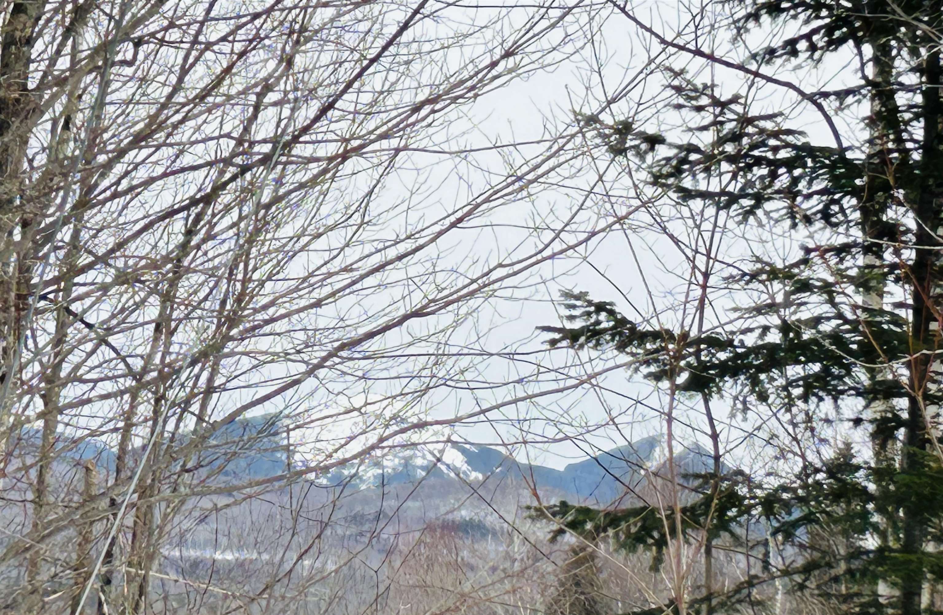 Lot 15 Holbrook Hill Rd, Stratford, NH 03590