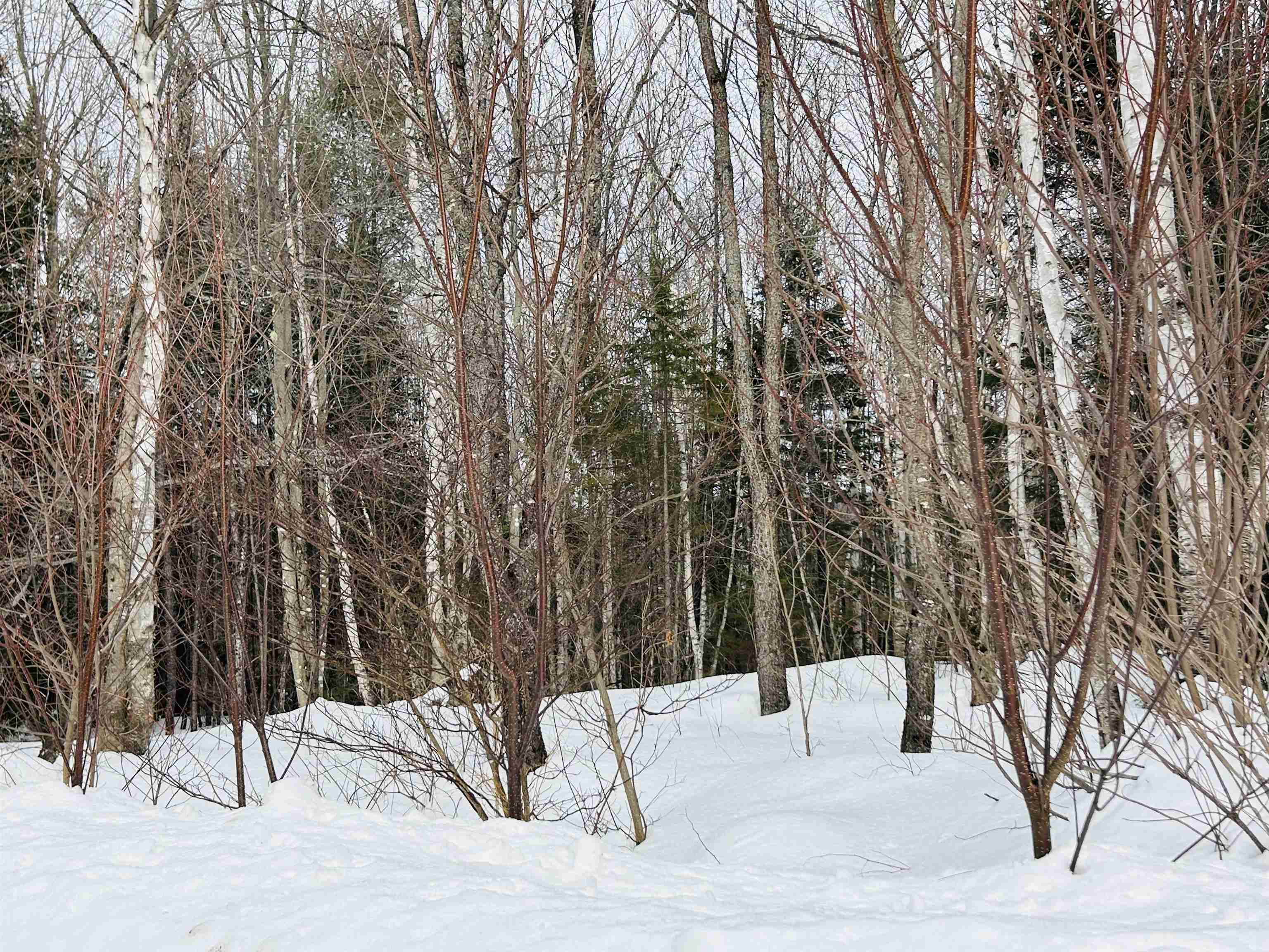 Lot 15 Holbrook Hill Rd, Stratford, NH 03590