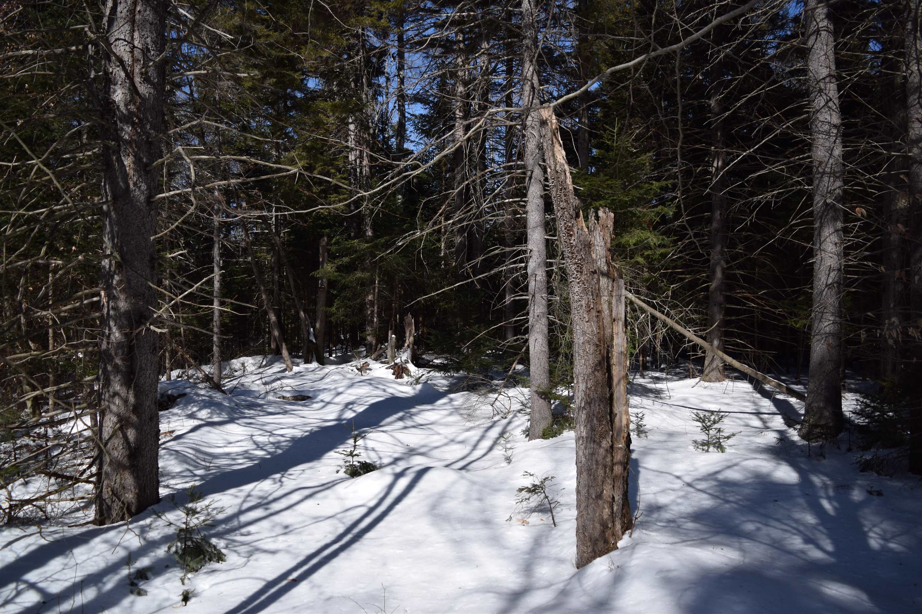 Lot 141 Presidential Dr, Washington, NH 03280