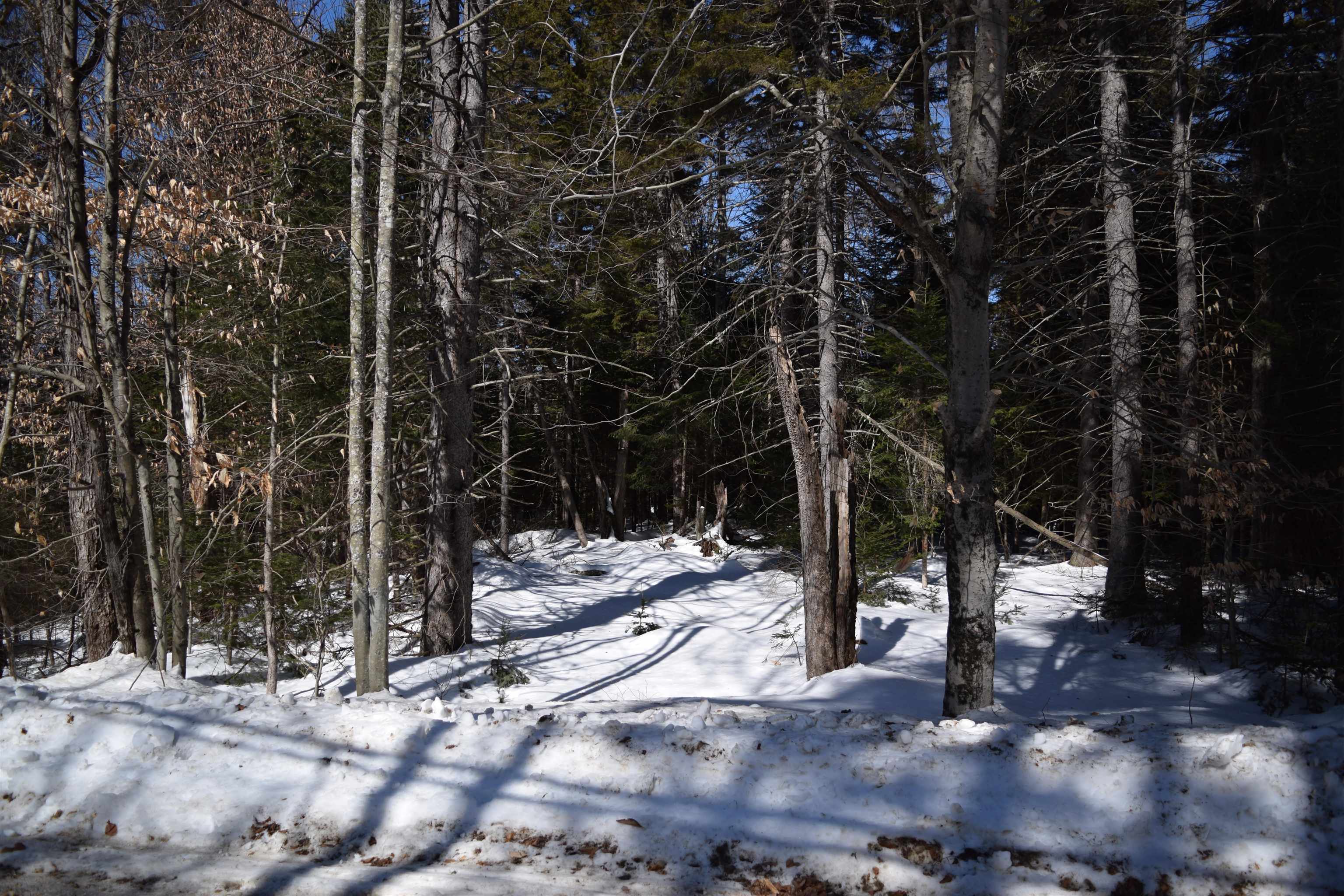 Lot 141 Presidential Dr, Washington, NH 03280