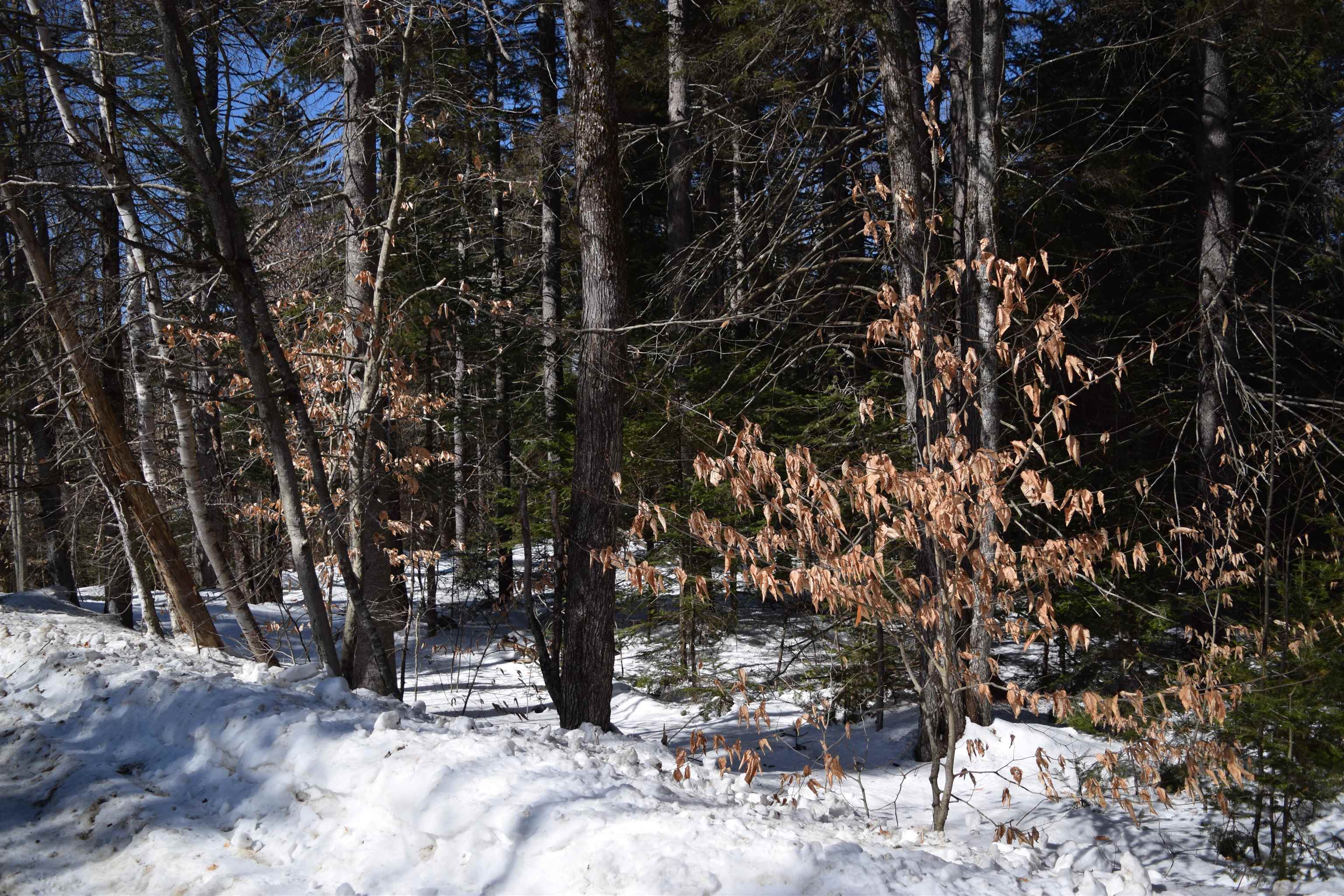 Lot 141 Presidential Dr, Washington, NH 03280