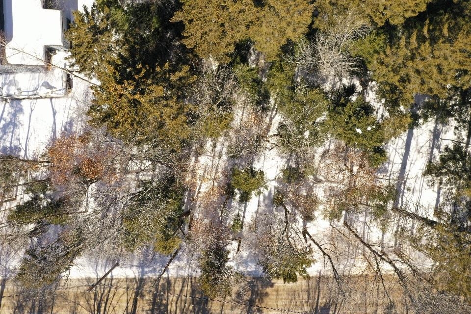 Lot 141 Presidential Dr, Washington, NH 03280