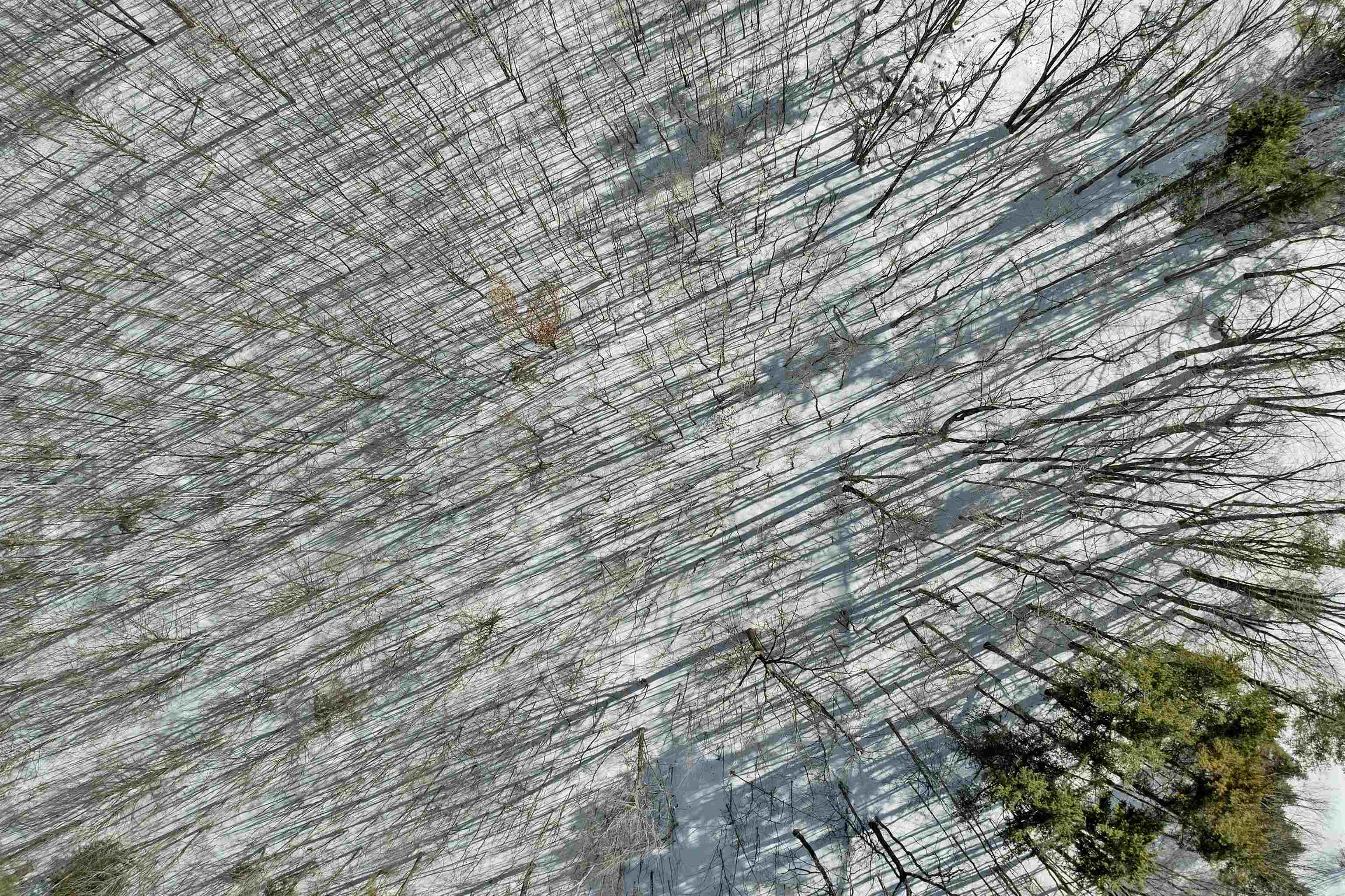 Homes for sale in Tuftonboro, NH | Lot 5 Phineas Graves Rd, Tuftonboro, NH 03816 | MLS# 5078211