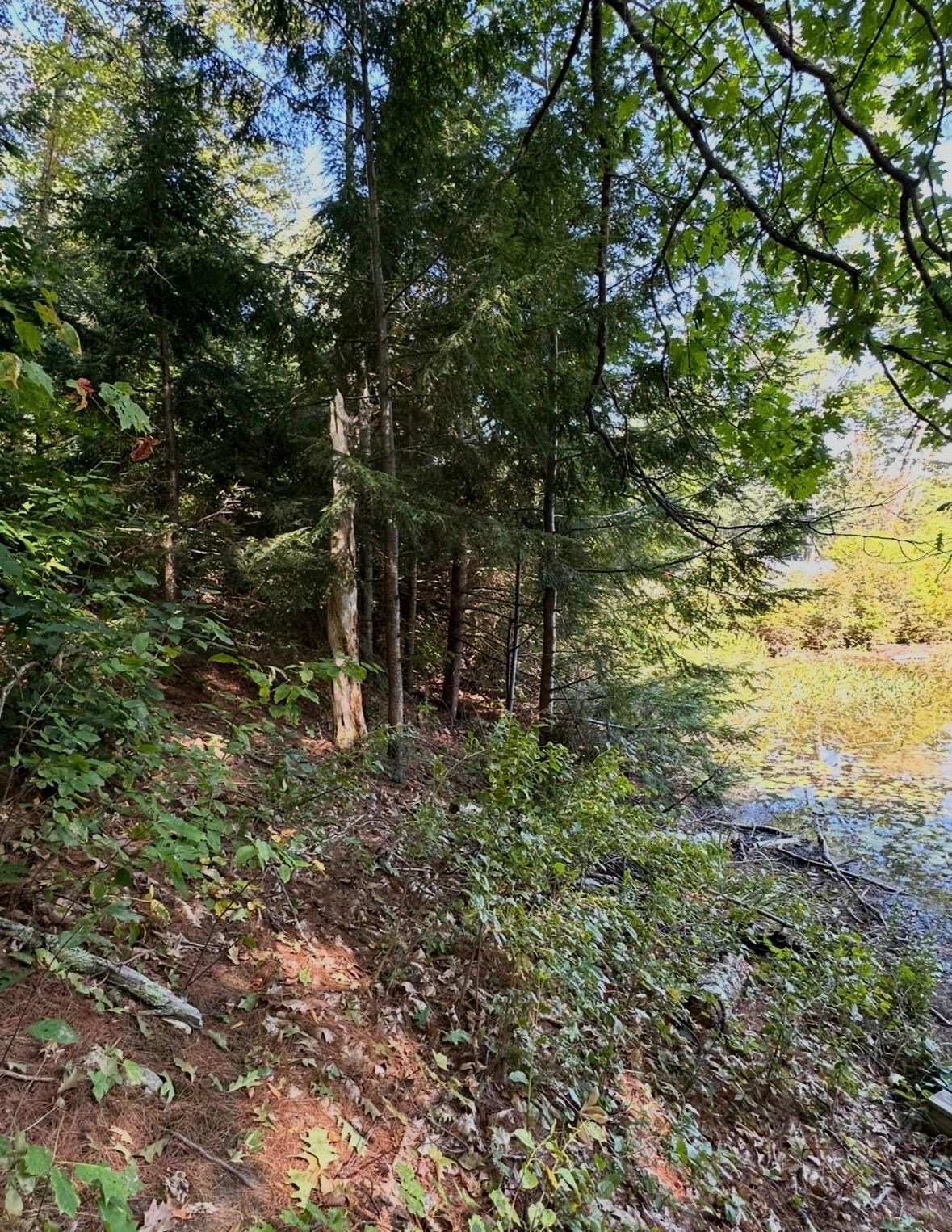 Beard Ln, Grafton, NH 03240