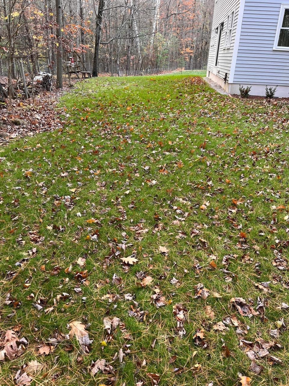 Homes for sale in Brookline, NH | 61 Russell Hill Rd, Brookline, NH 03033 | MLS# 5078319