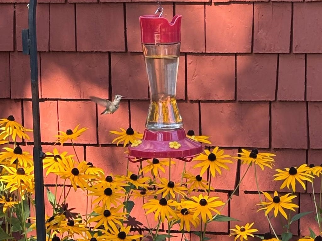 14 Colonial Sq, Peterborough, NH 03458