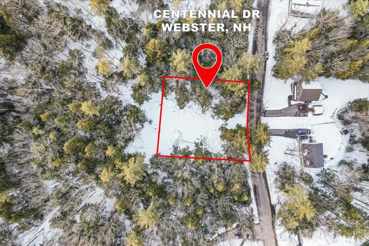 M10 L05 S37 Centennial Dr, Webster, NH 03303