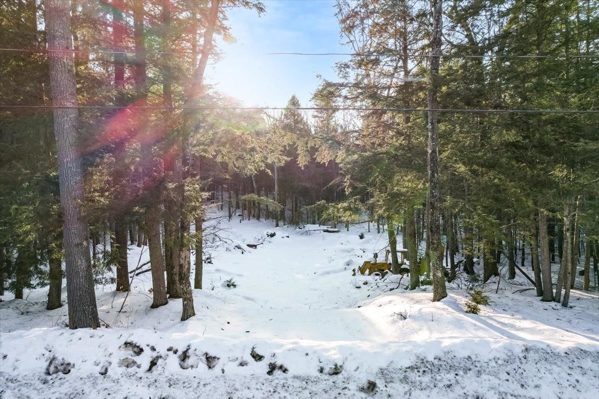 M10 L05 S37 Centennial Dr, Webster, NH 03303