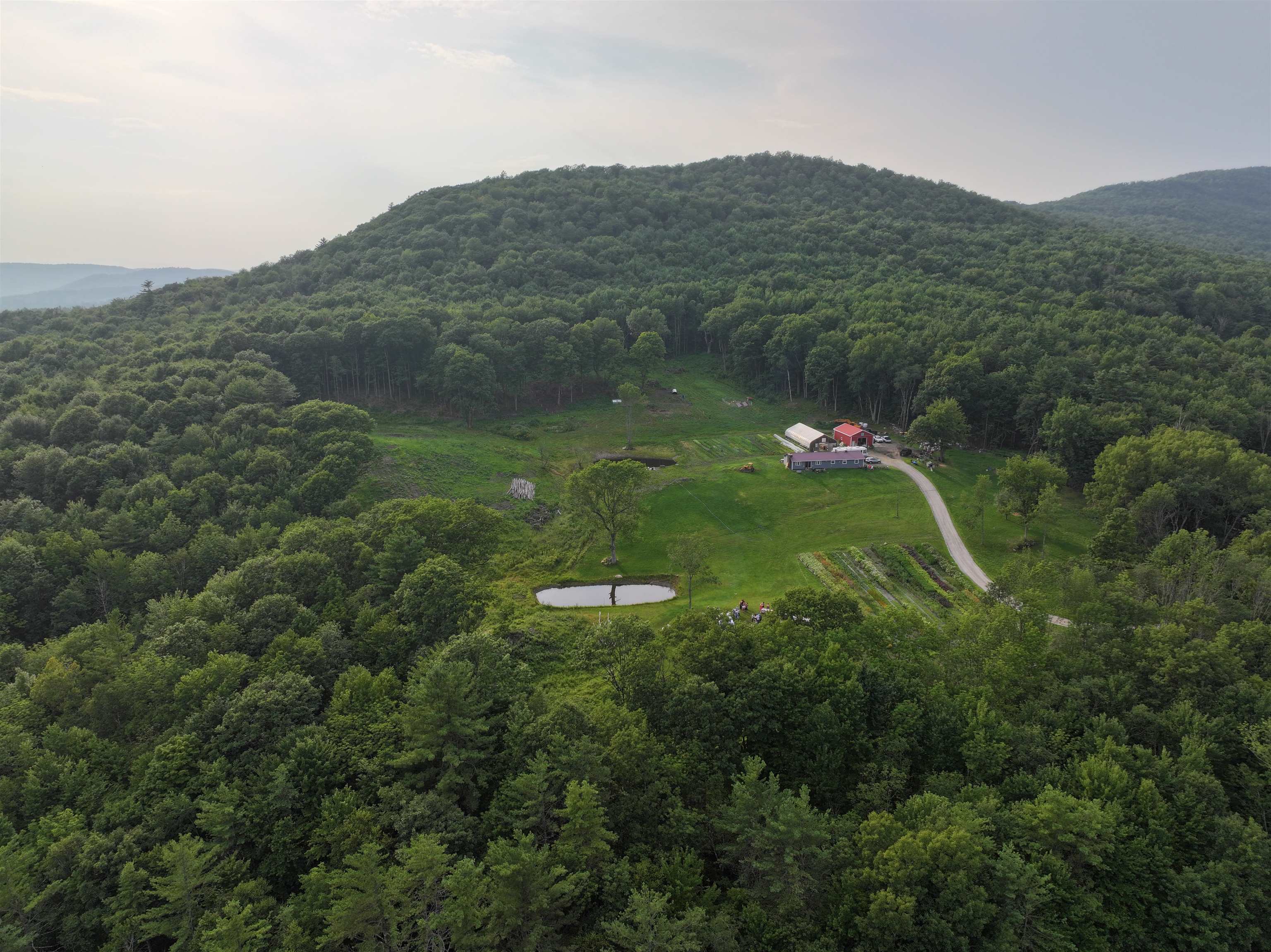   Click for more details  