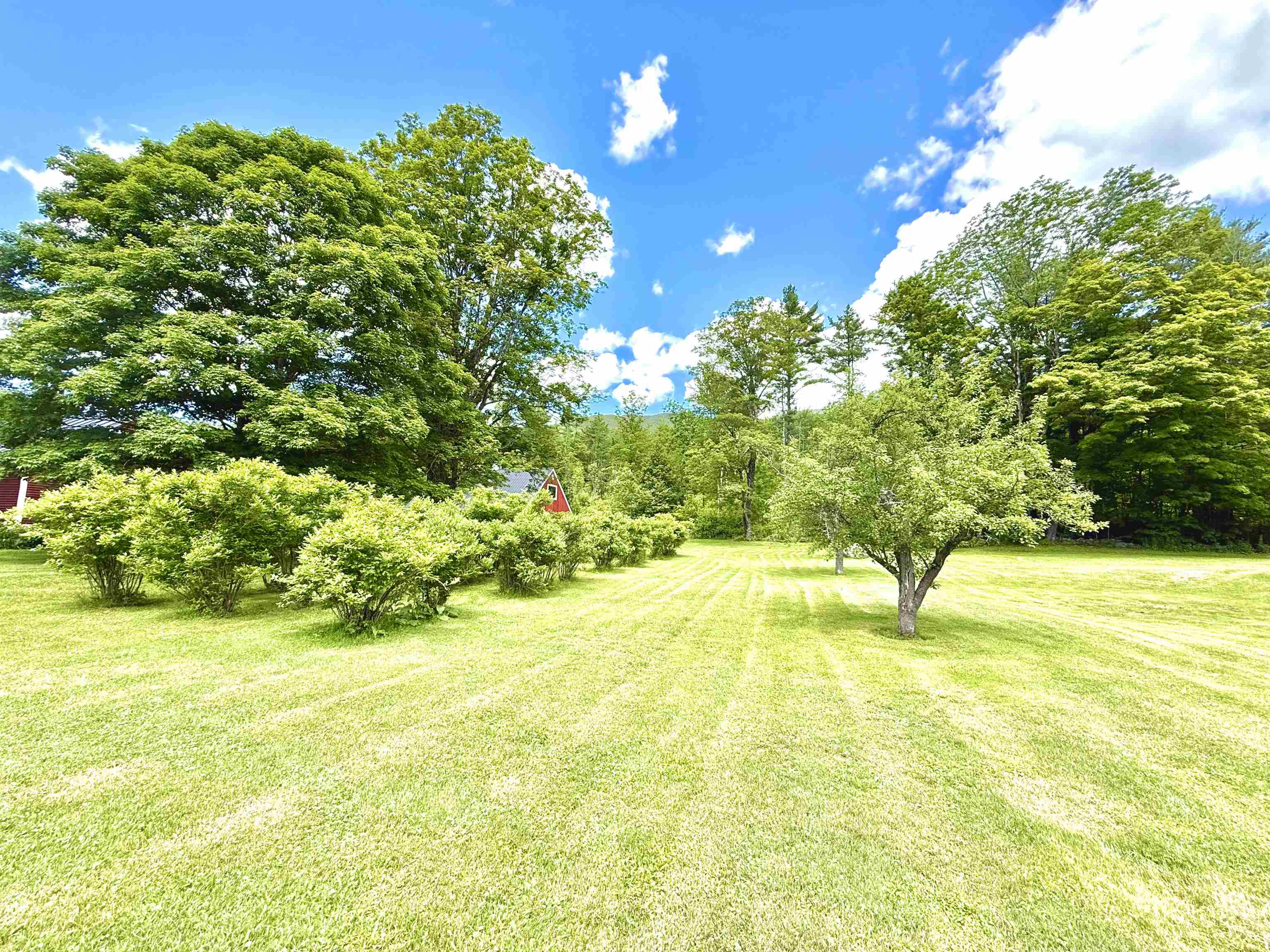 Property photo 33