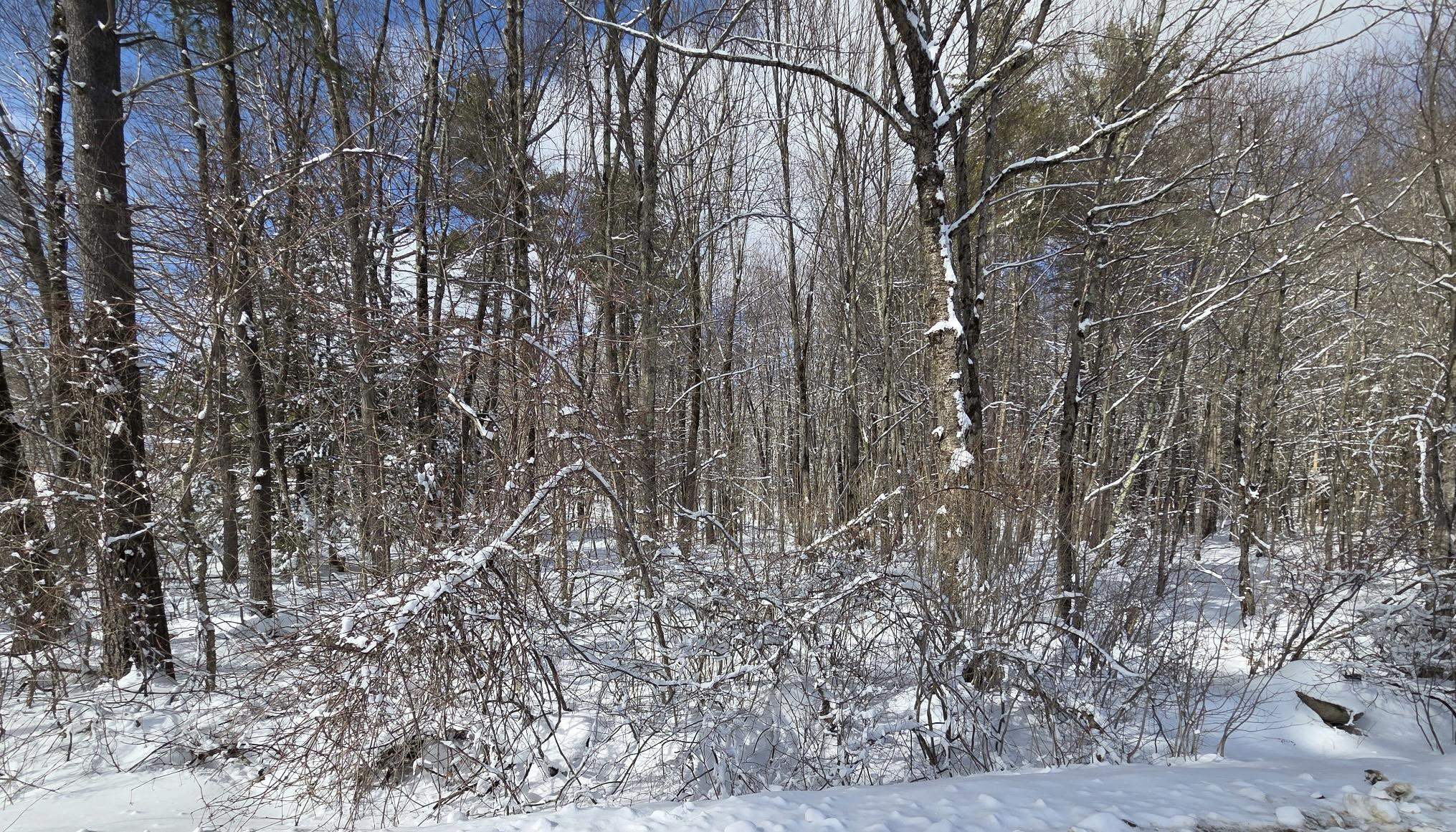 79-1 Currier Rd, Candia, NH 03034