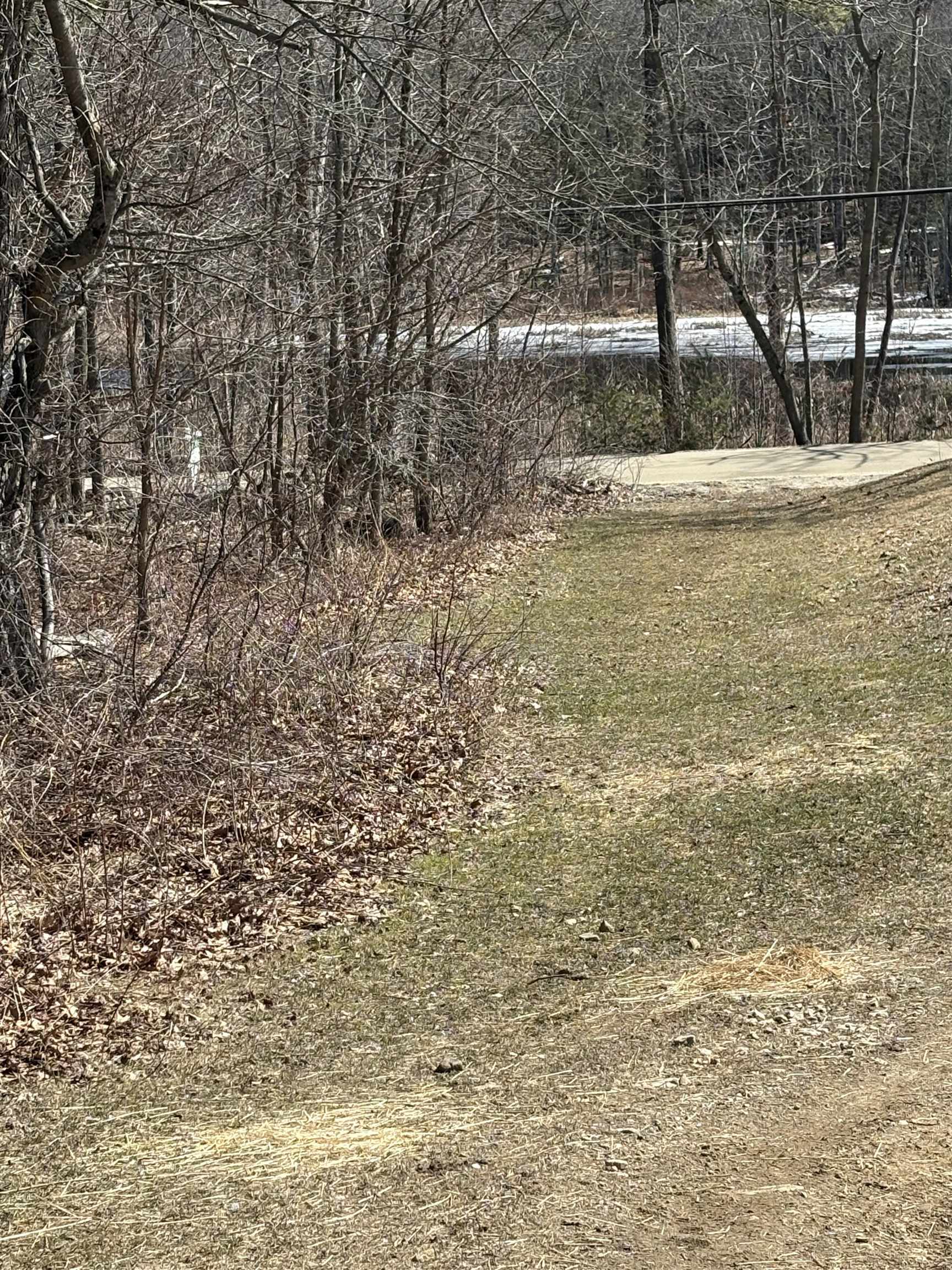 79-1 Currier Rd, Candia, NH 03034