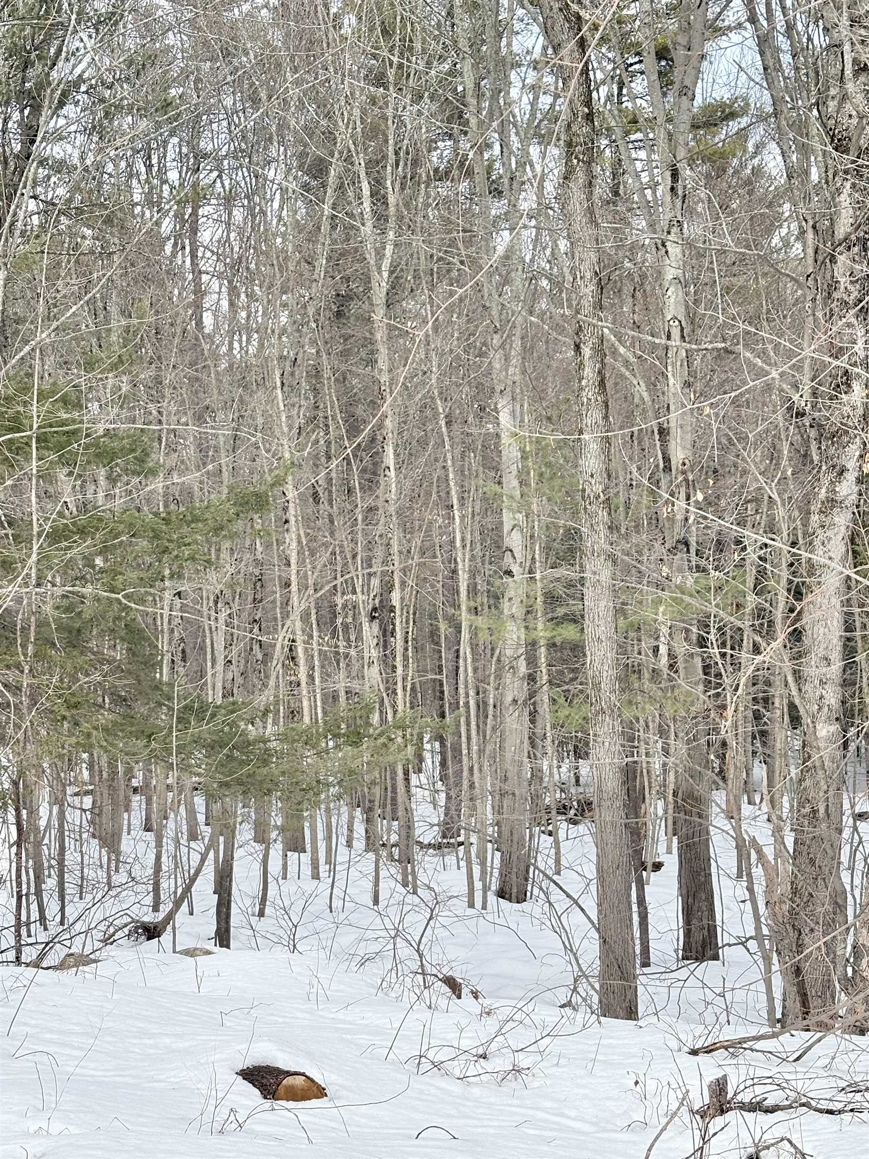 79-1 Currier Rd, Candia, NH 03034