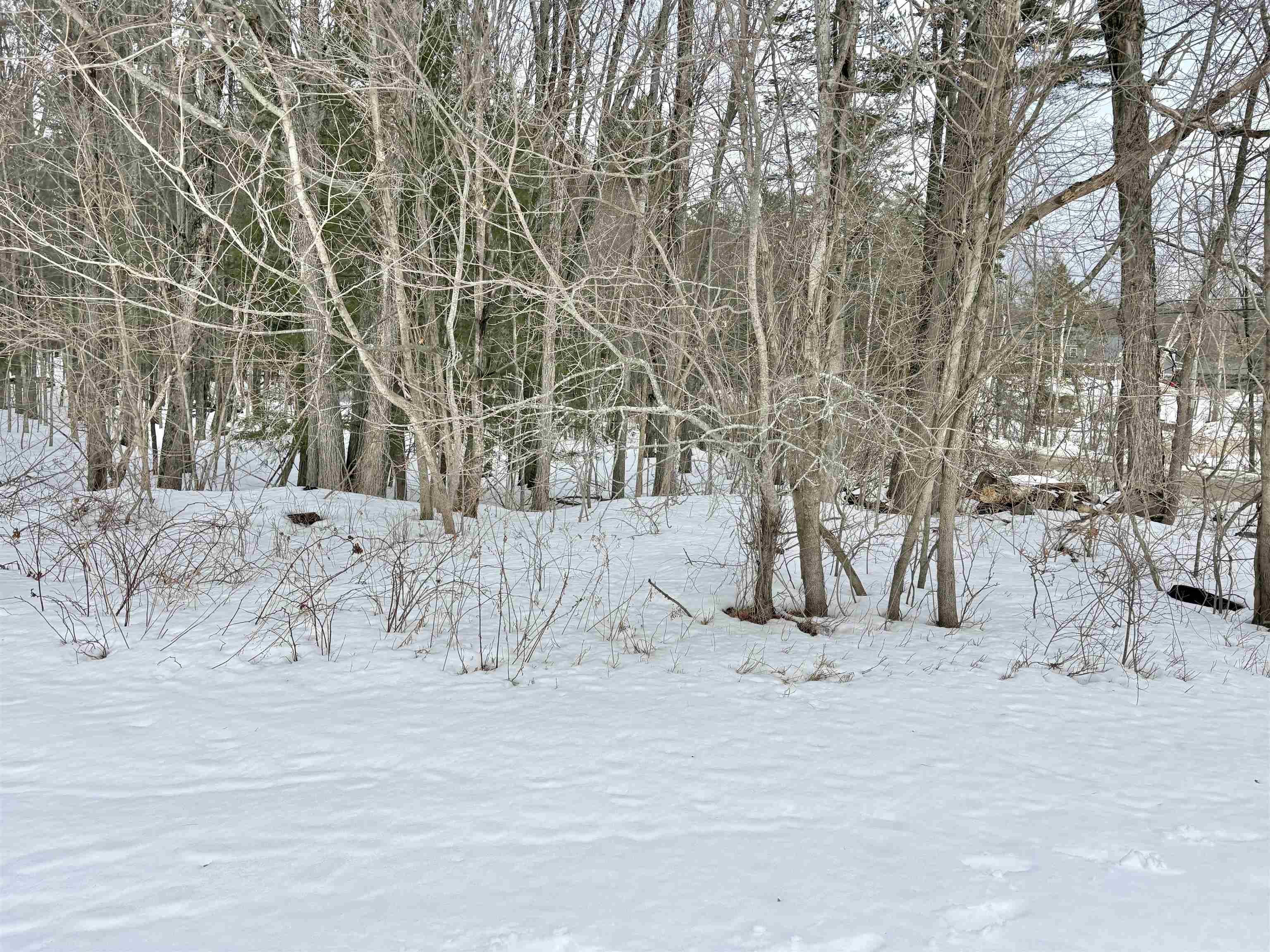 Homes for sale in Candia, NH | 79-1 Currier Rd, Candia, NH 03034 | MLS# 5078506