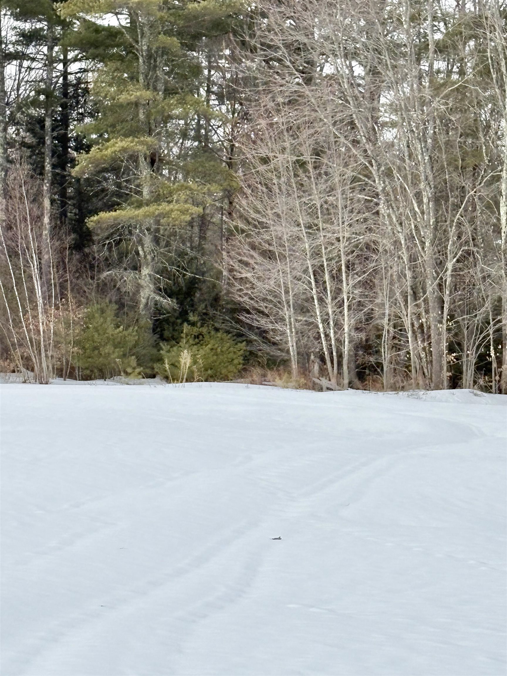 Homes for sale in Candia, NH | 79-1 Currier Rd, Candia, NH 03034 | MLS# 5078506